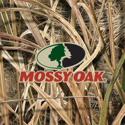 Mossy Oak - DecalGirl