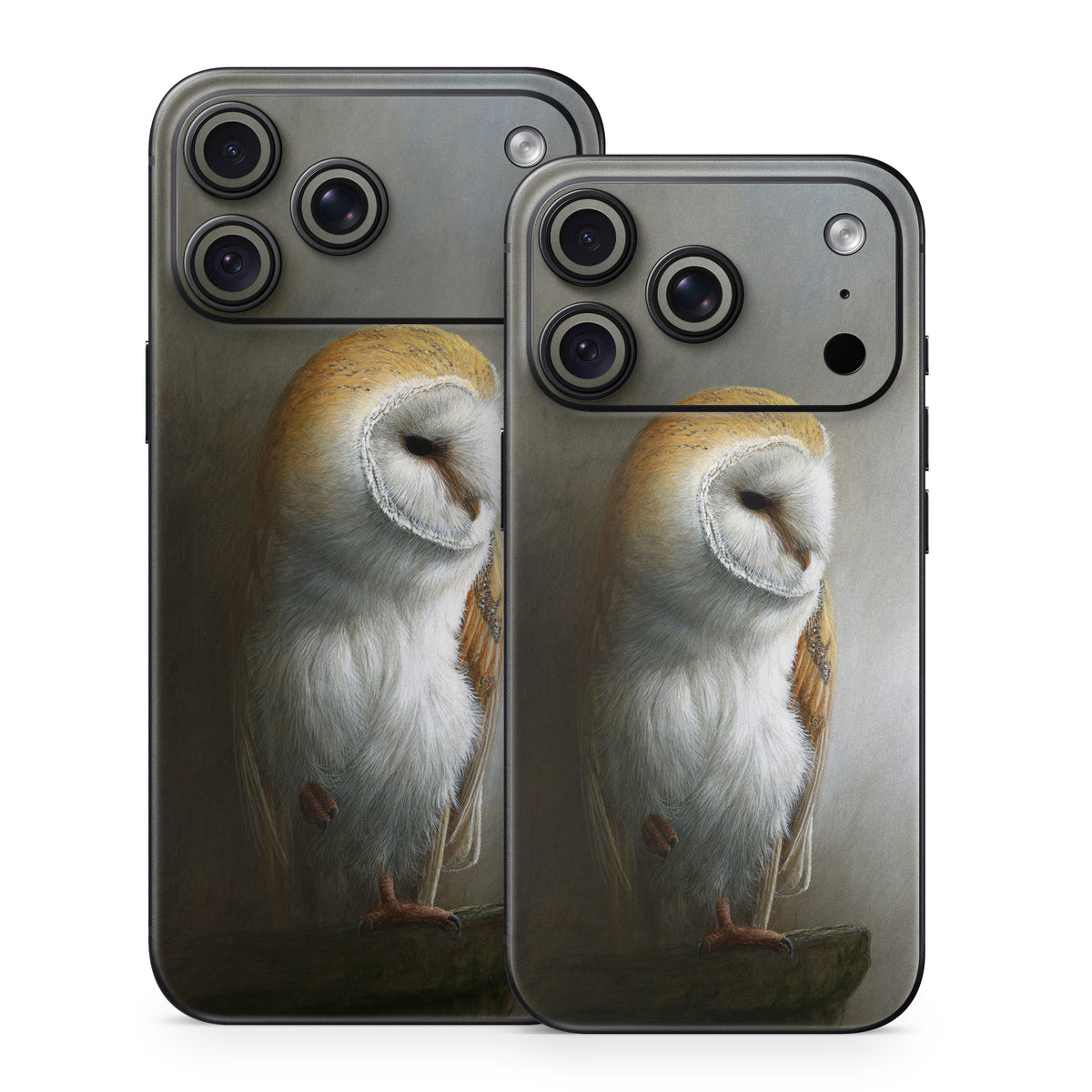 Barn Owl - Apple iPhone 18 Skin