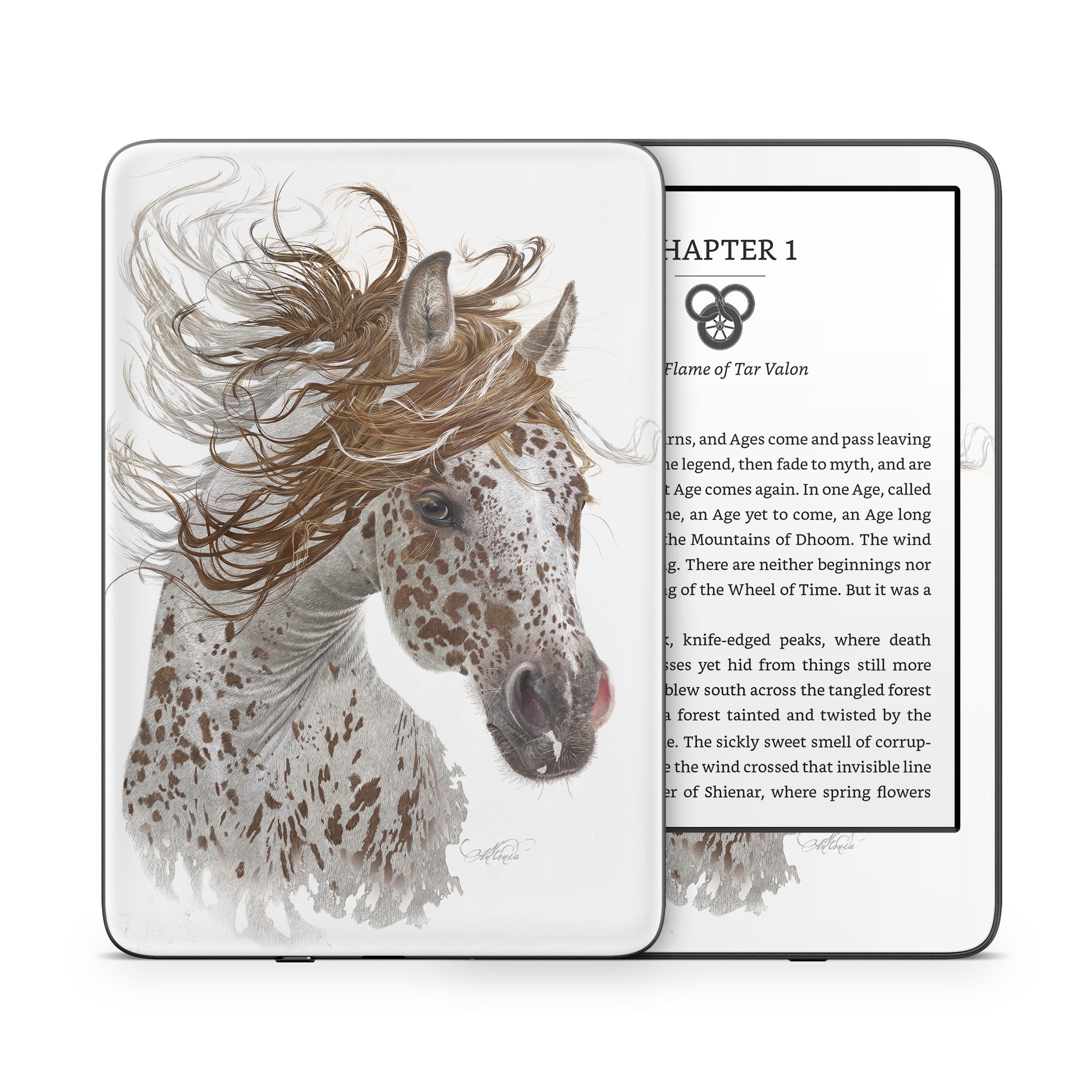 Appaloosa - Amazon Kindle Skin