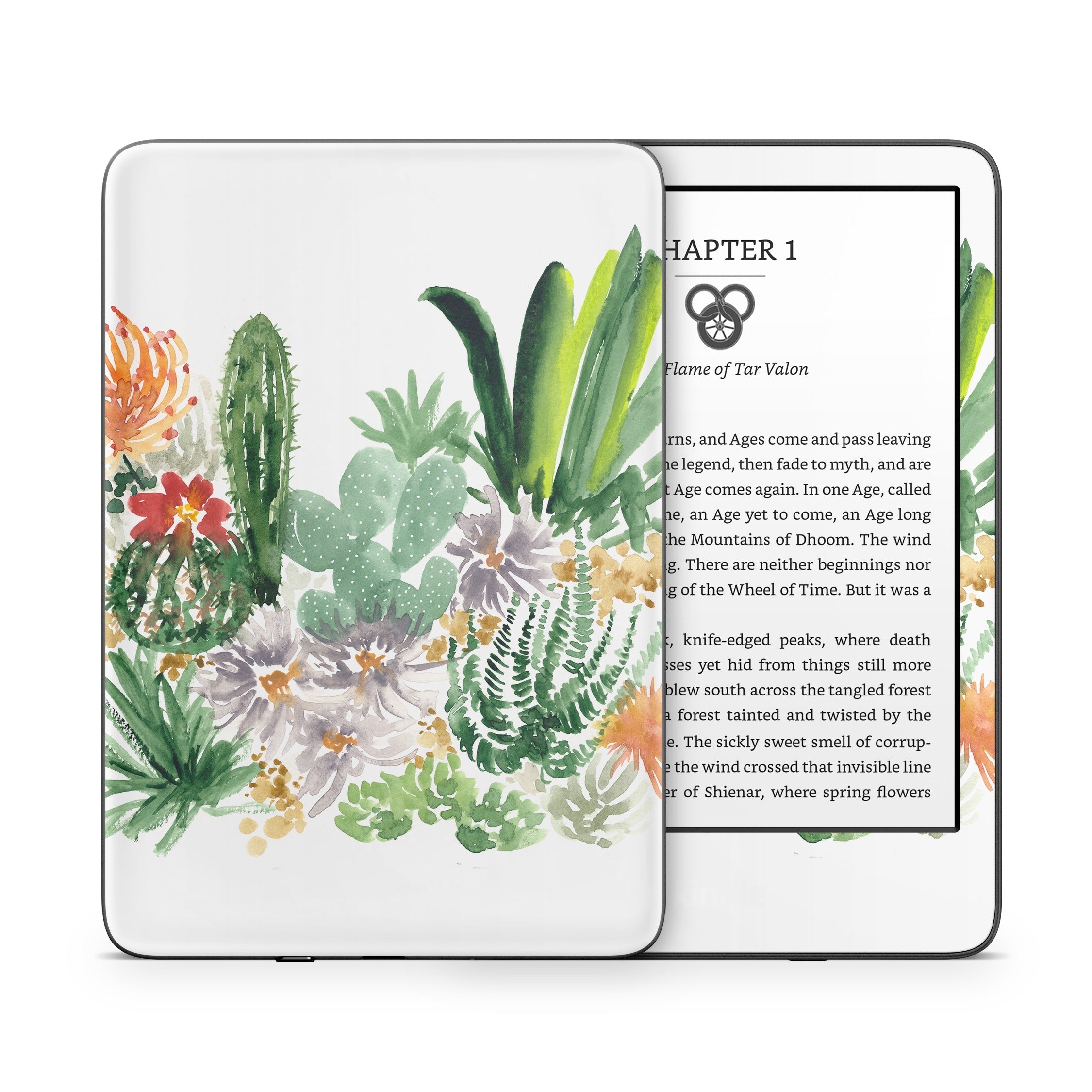 Sonoran Desert - Amazon Kindle Skin