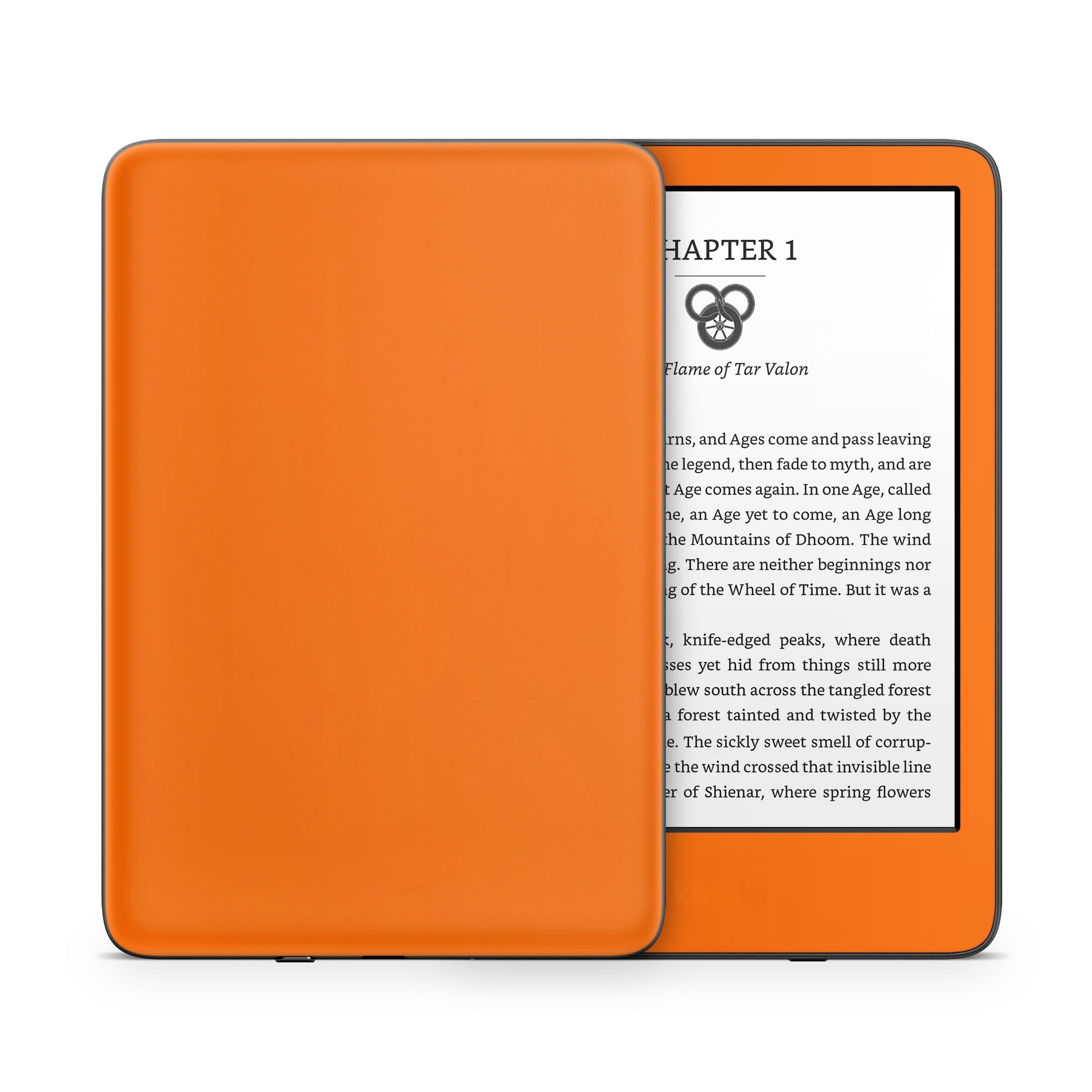 Solid State Pumpkin - Amazon Kindle Skin