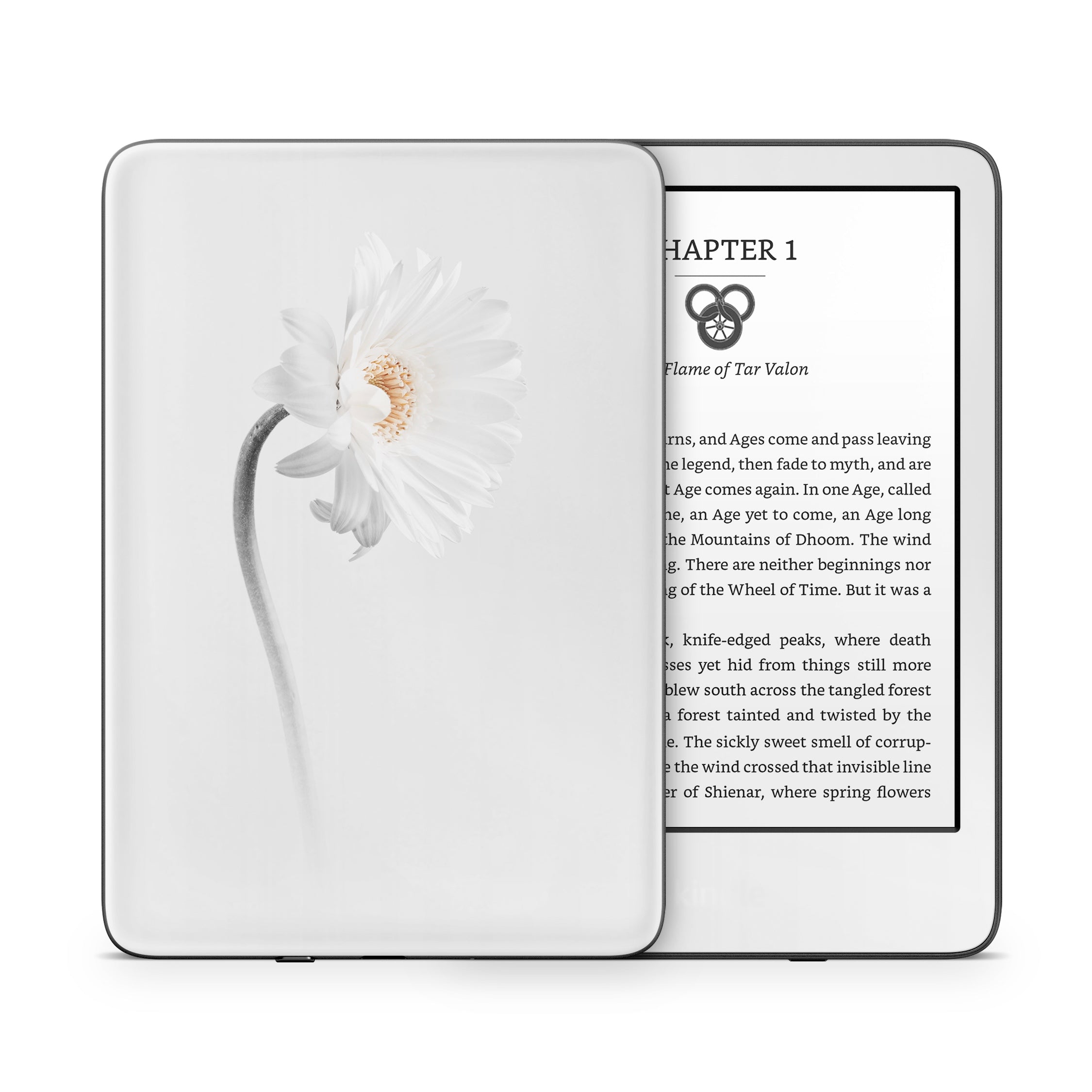 Stalker - Amazon Kindle Skin