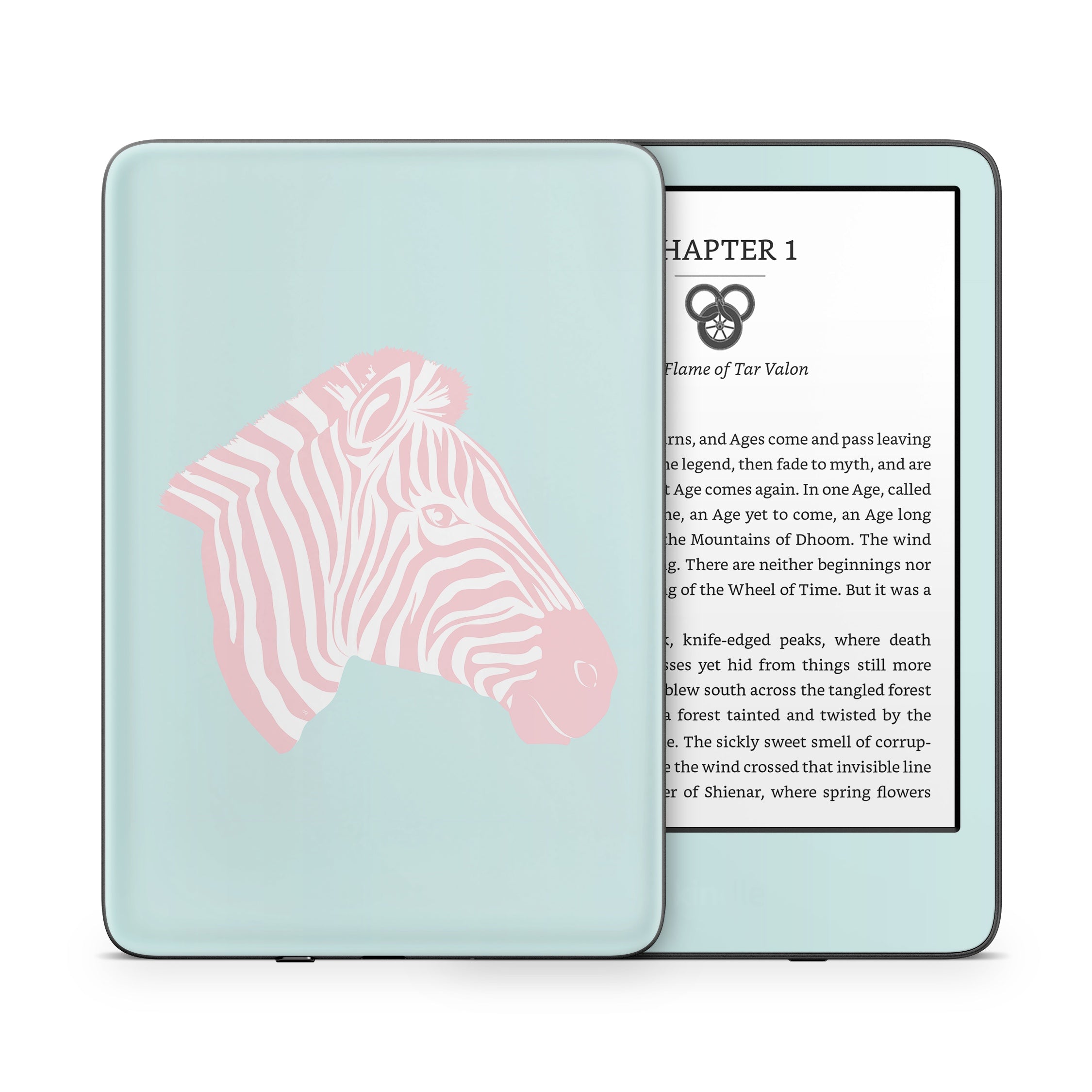Sweet Zebra - Amazon Kindle Skin