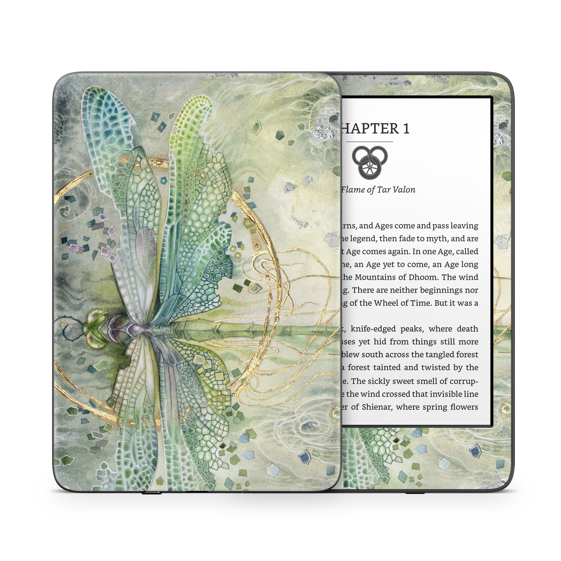 Transition - Amazon Kindle Skin