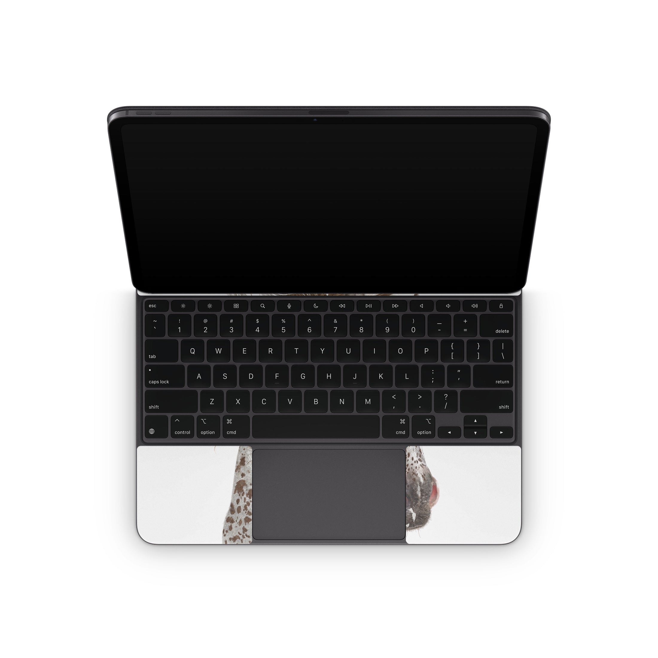 Appaloosa - Apple Magic Keyboard for iPad Skin