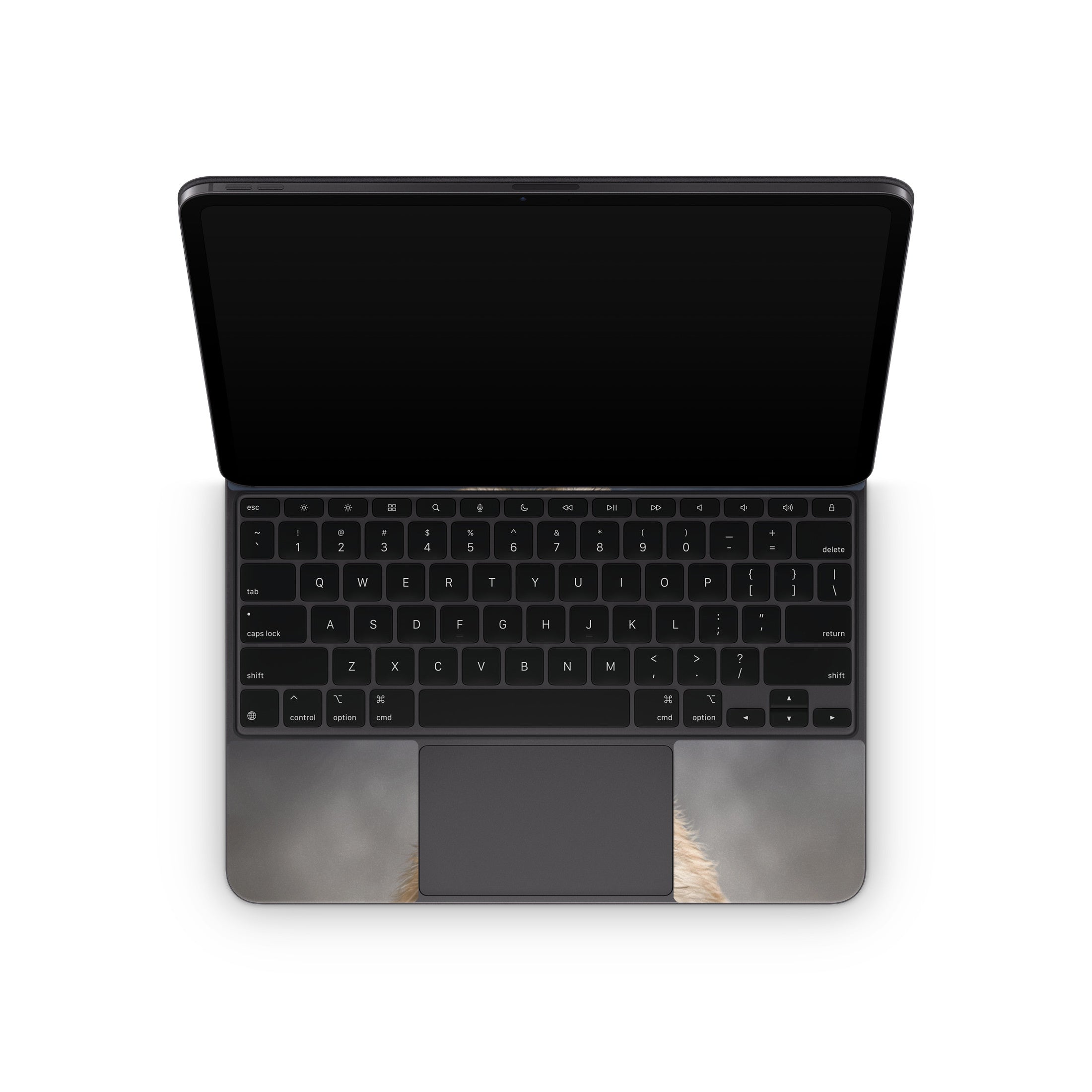 Meerkat - Apple Magic Keyboard for iPad Skin