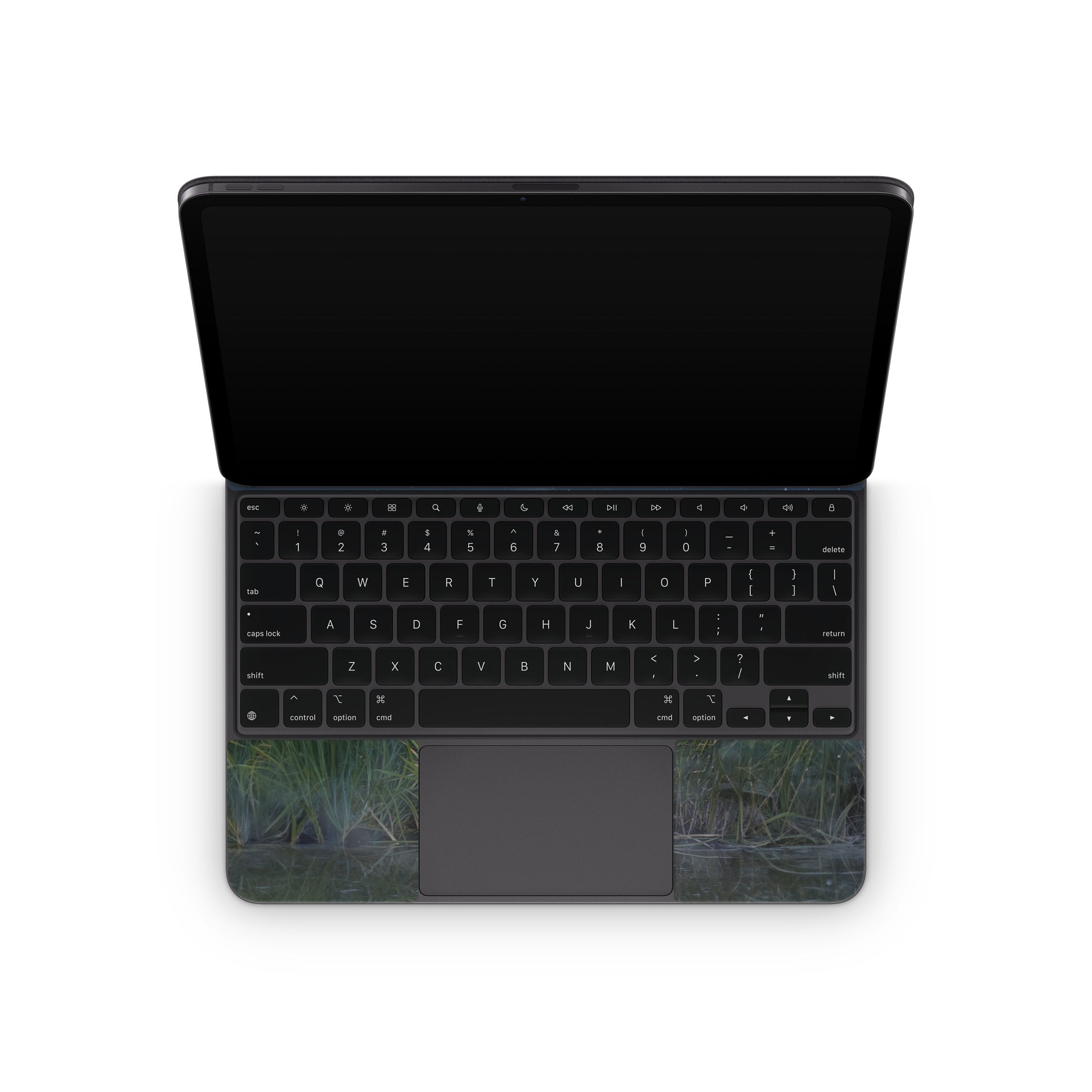 Rhinoceros Unicornis - Apple Magic Keyboard for iPad Skin