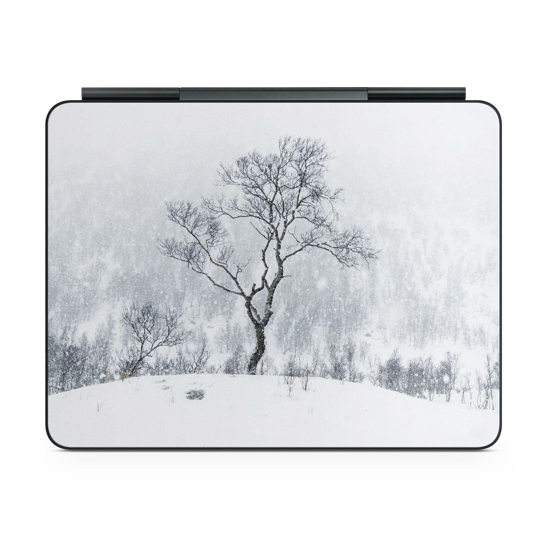 Winter Is Coming - Apple Magic Keyboard for iPad Skin