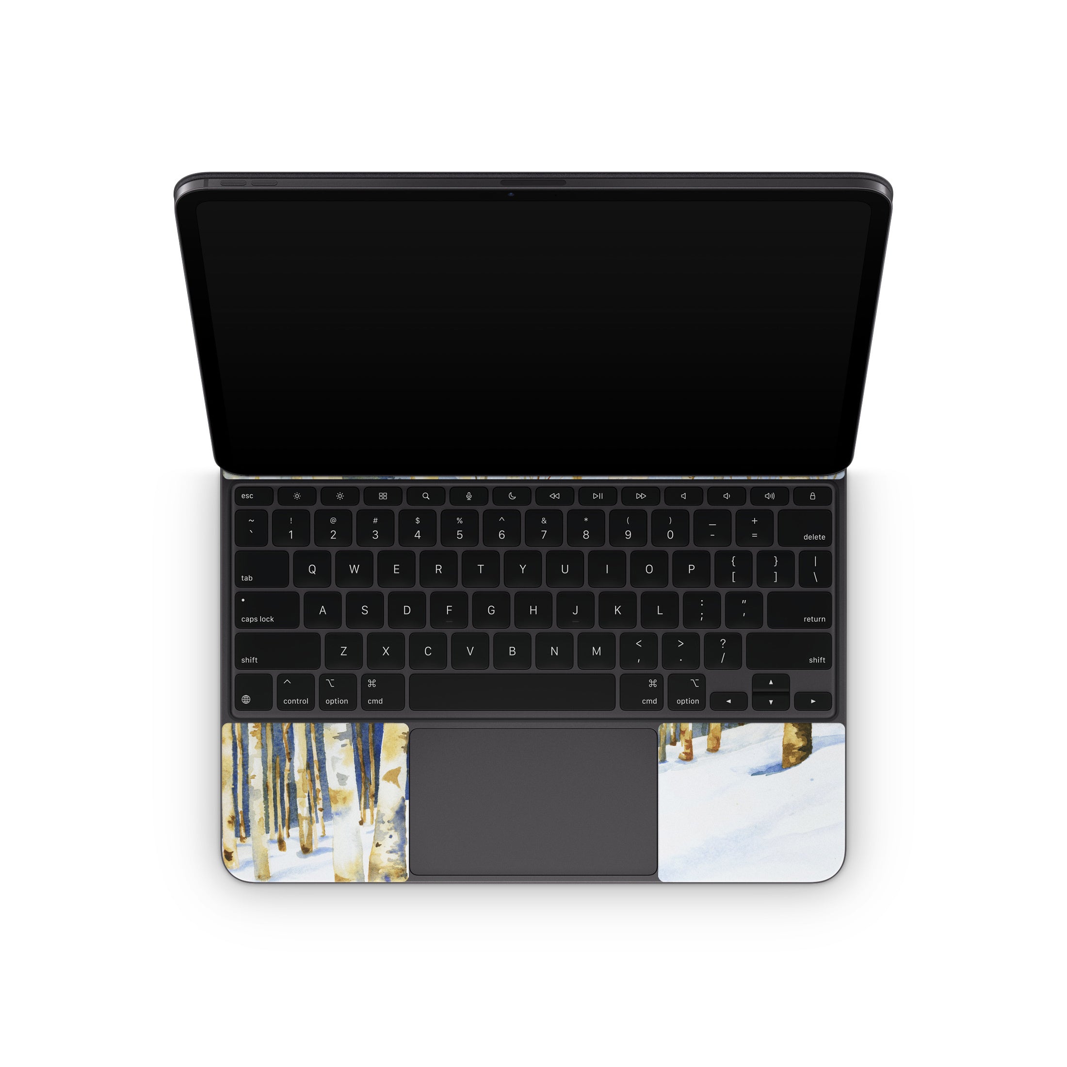 Winter Solstice - Apple Magic Keyboard for iPad Skin