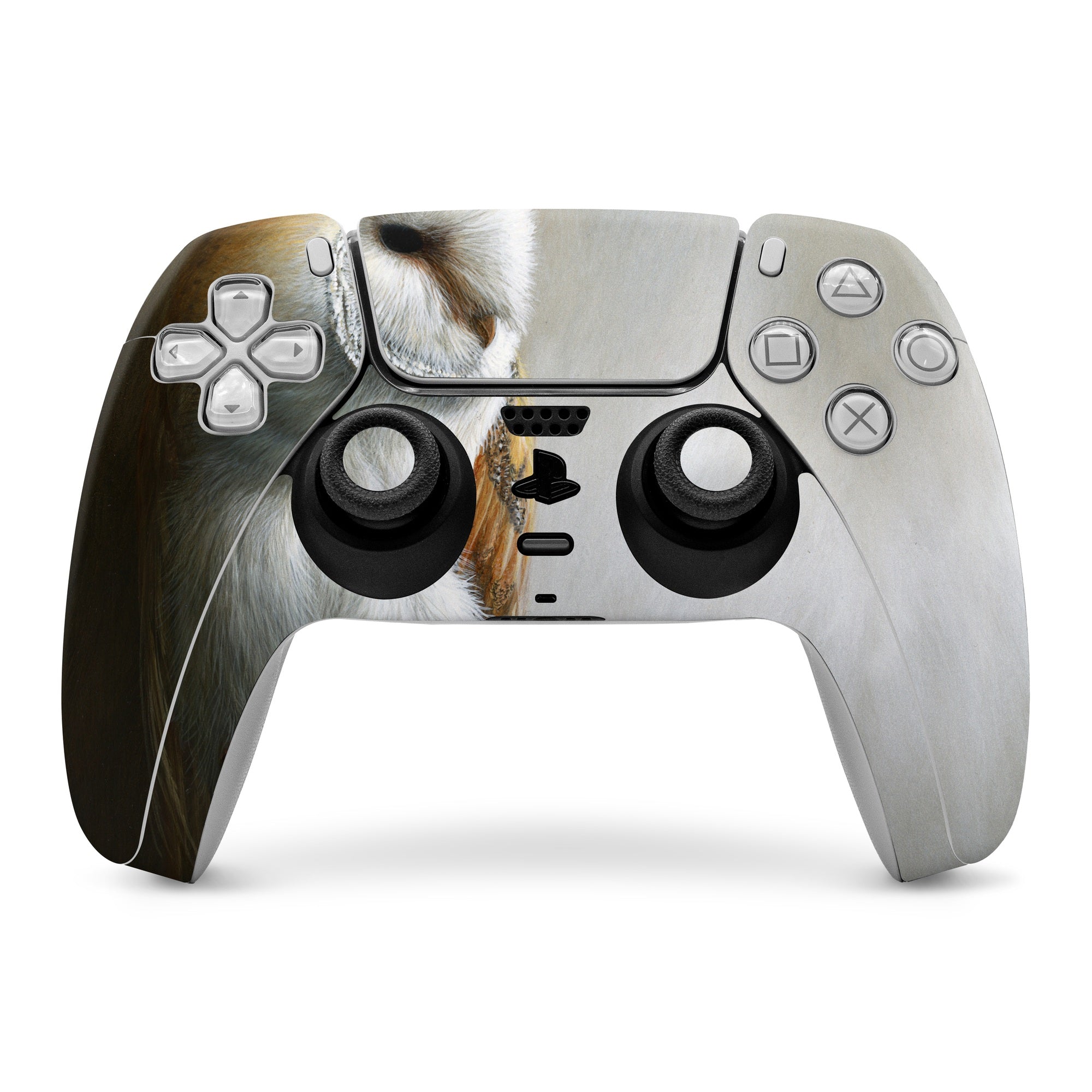 Barn Owl - Sony PS5 Controller Skin - Jeremy Paul - DecalGirl