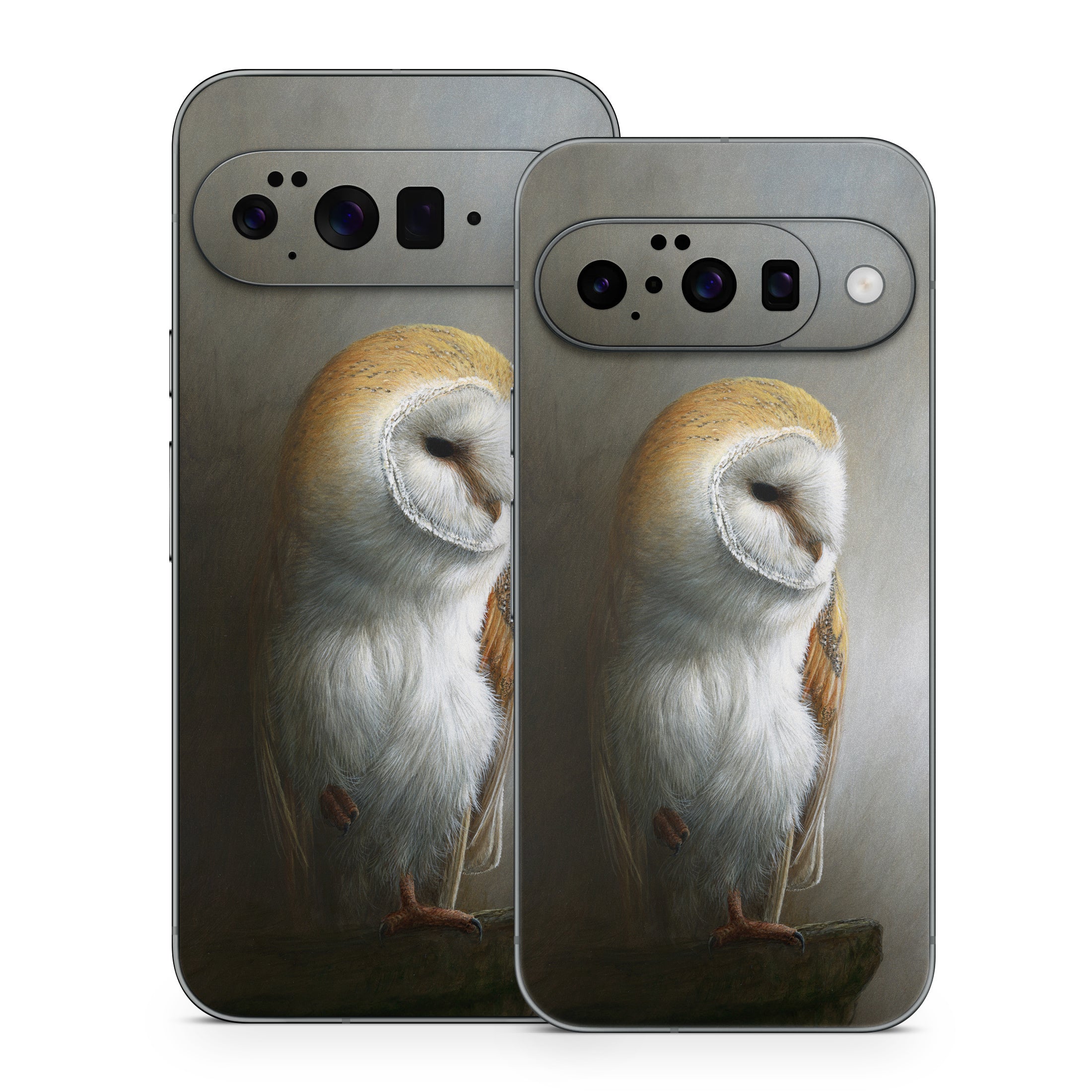 Barn Owl - Google Pixel 10 Skin