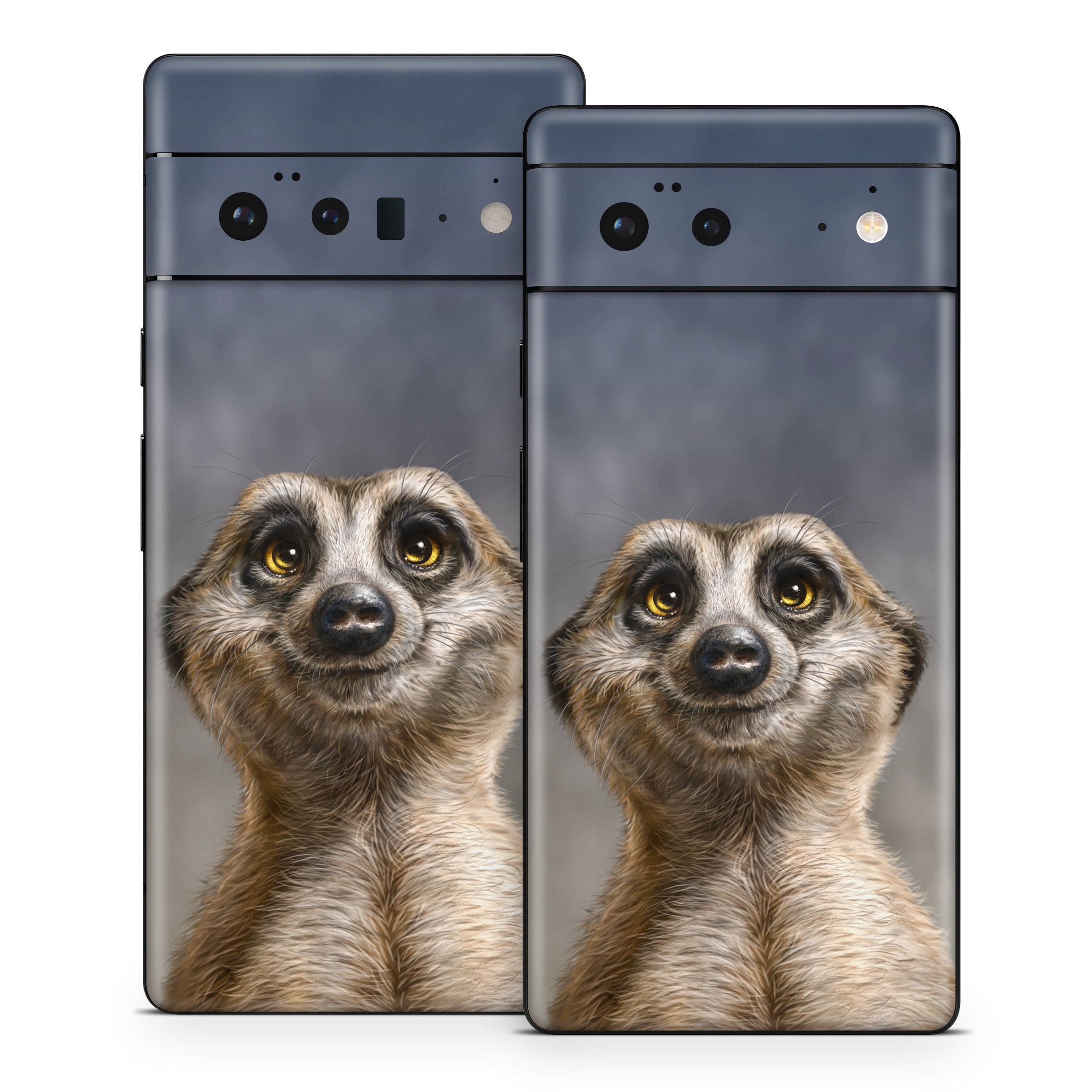 Meerkat - Google Pixel 6 Skin