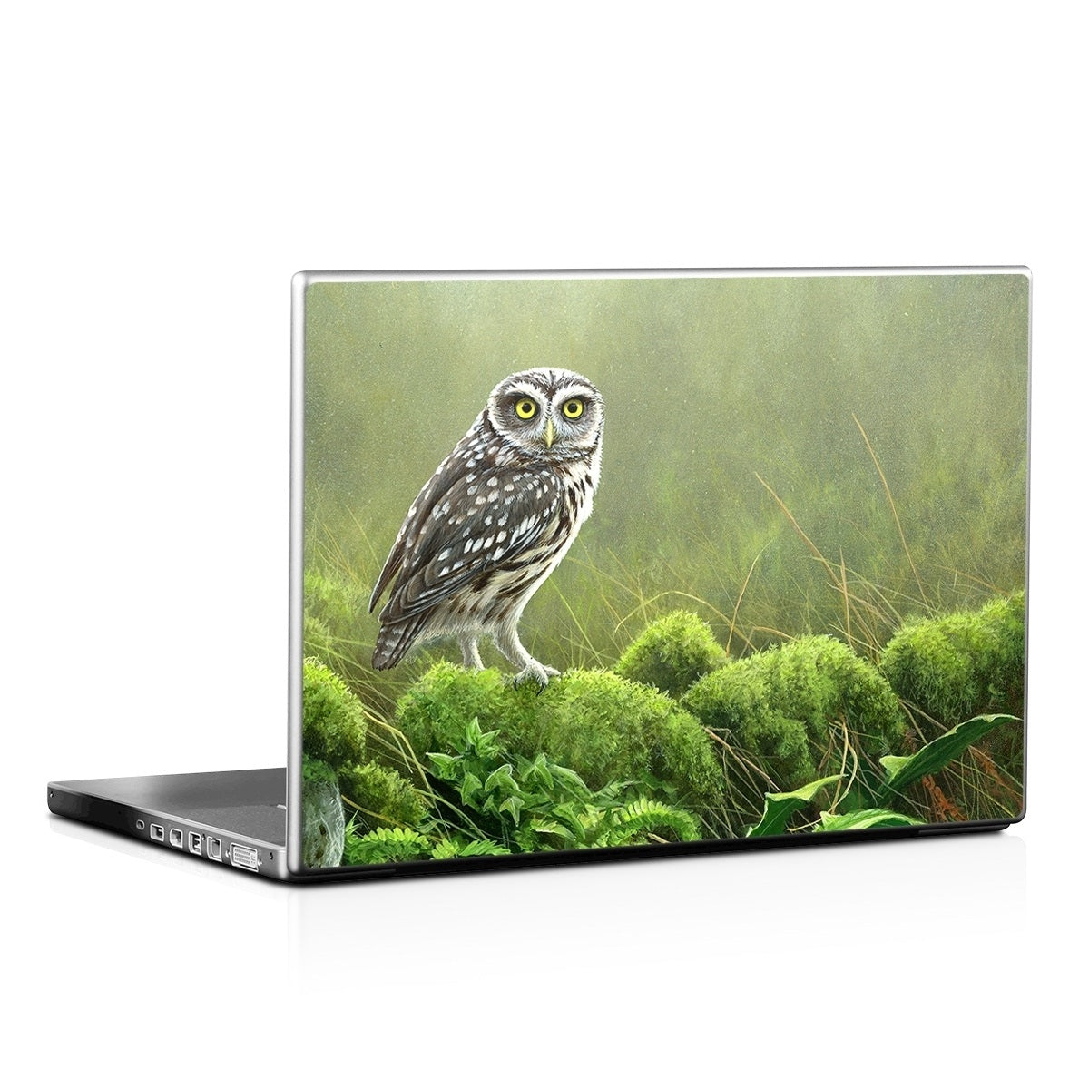 Tumbledown - Laptop Lid Skin