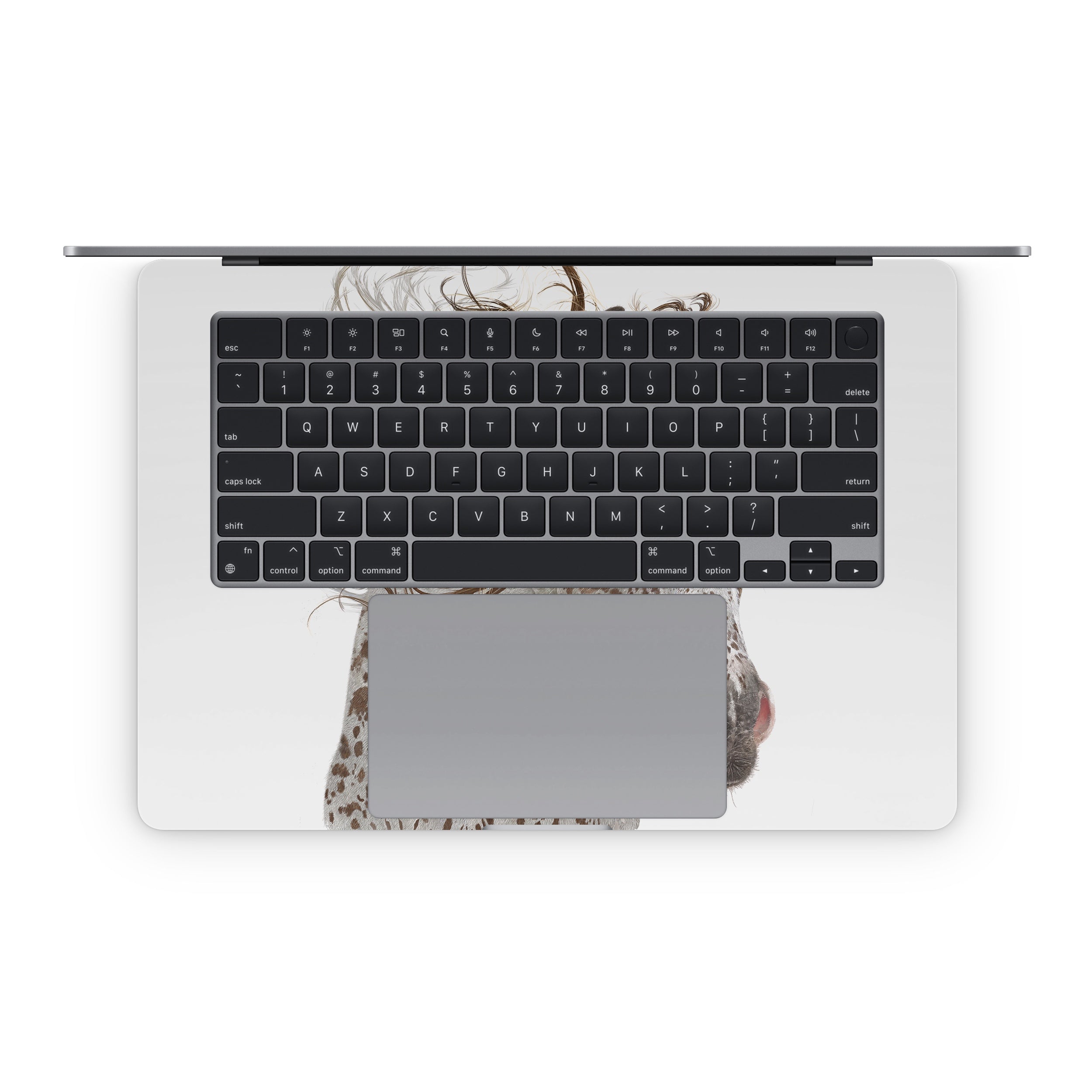 Appaloosa - Apple MacBook Skin