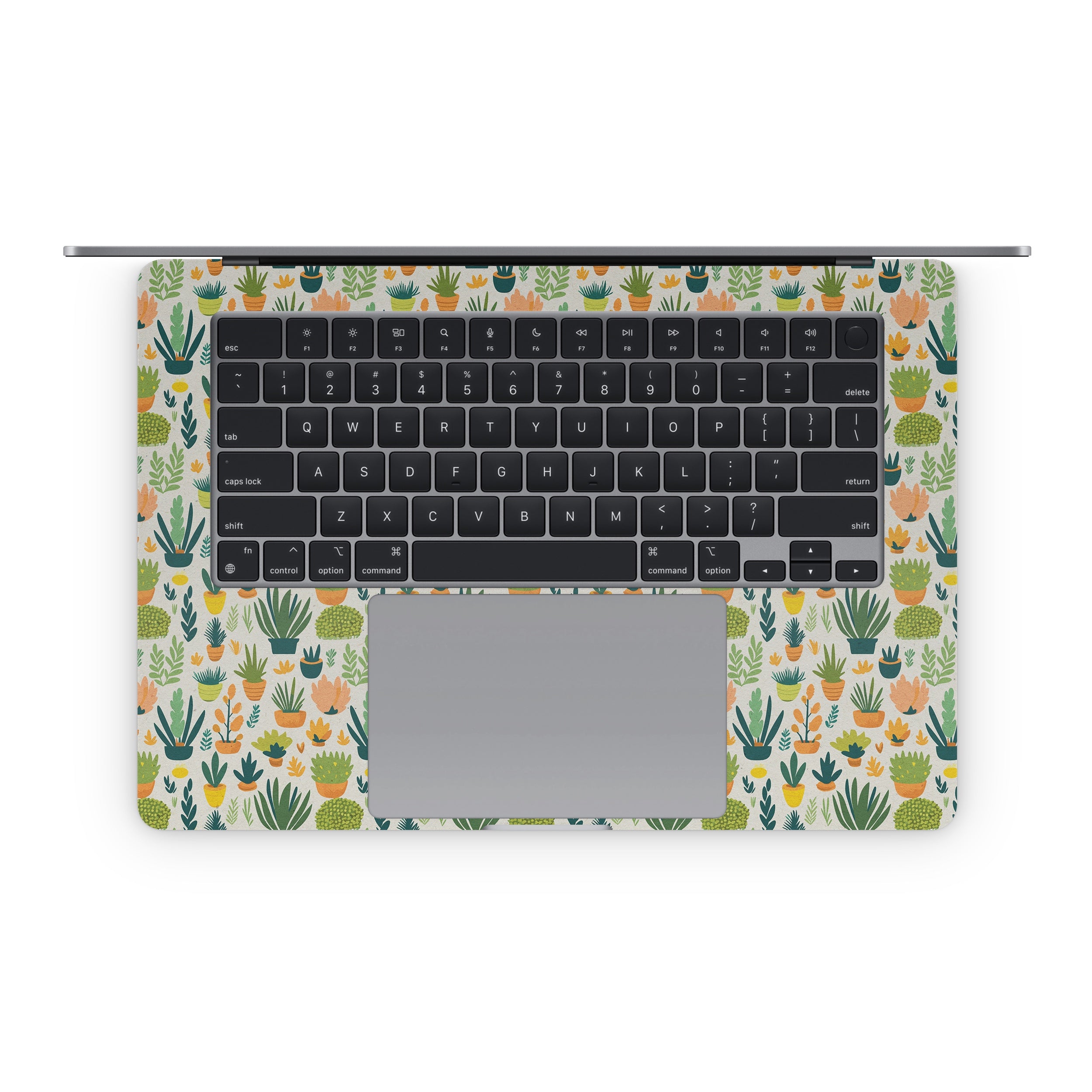 Back Porch - Apple MacBook Skin