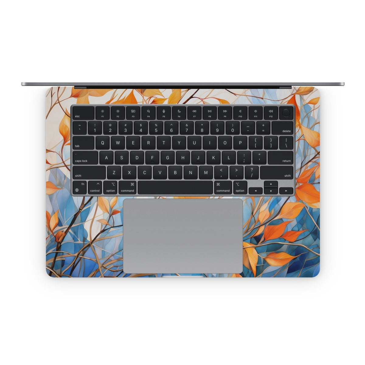 Blustery Day - Apple MacBook Skin