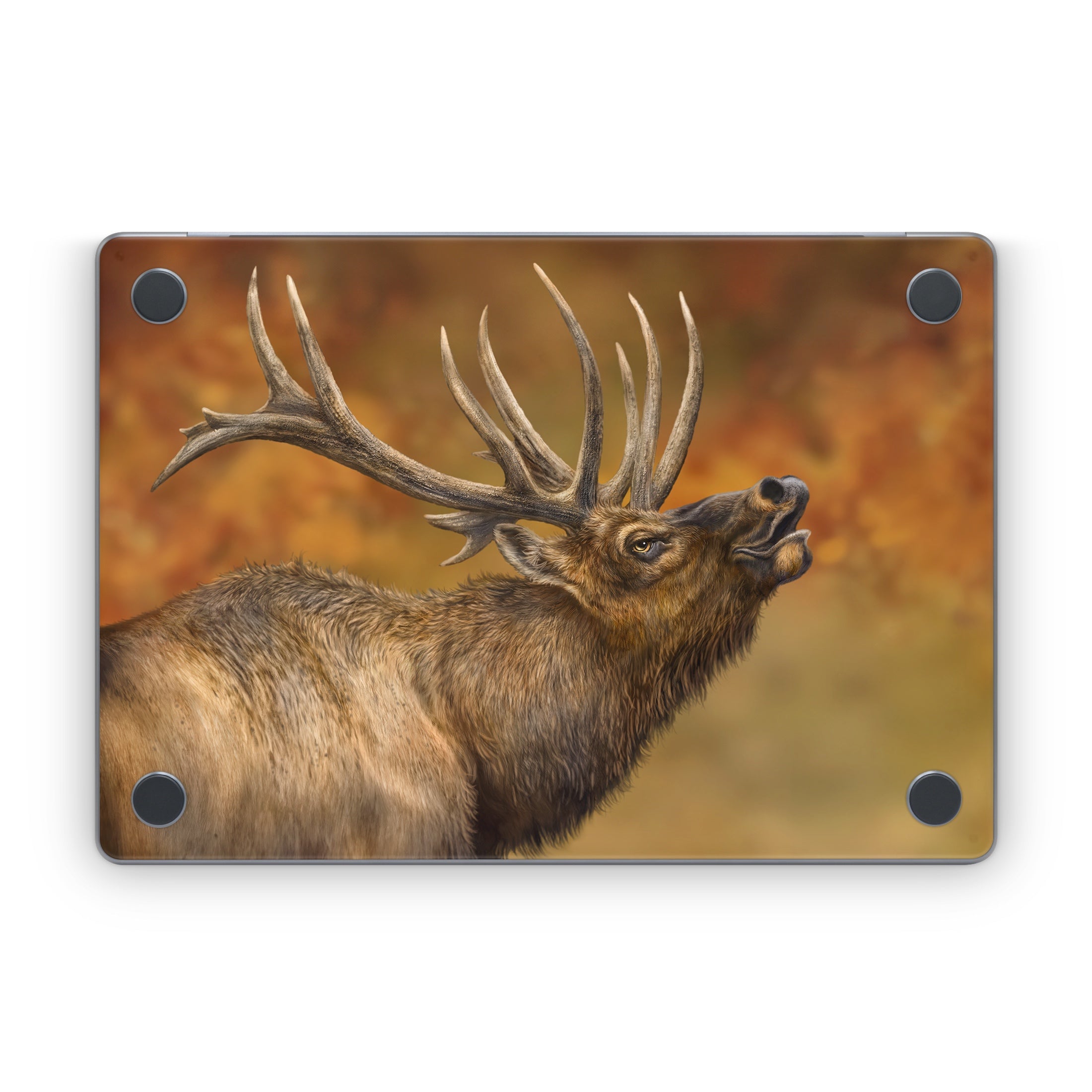 Bugle Boy - Apple MacBook Skin