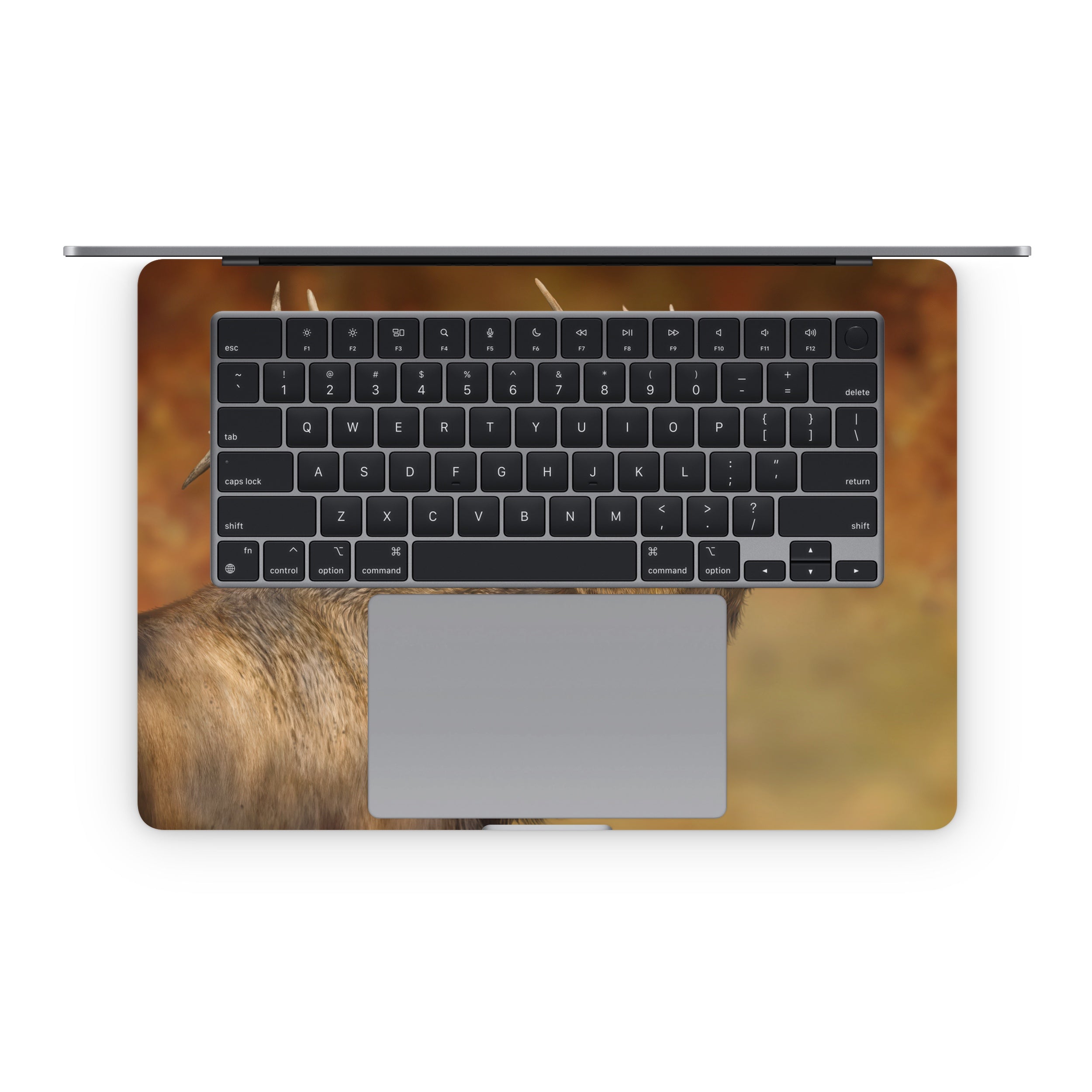 Bugle Boy - Apple MacBook Skin