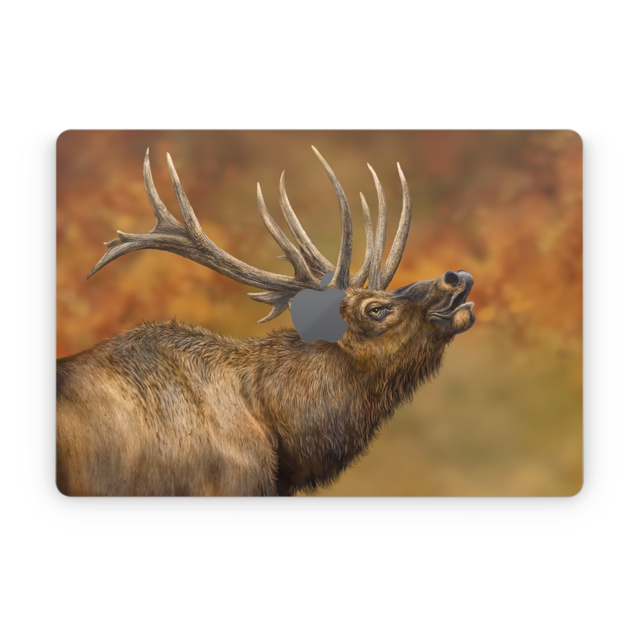 Bugle Boy - Apple MacBook Skin