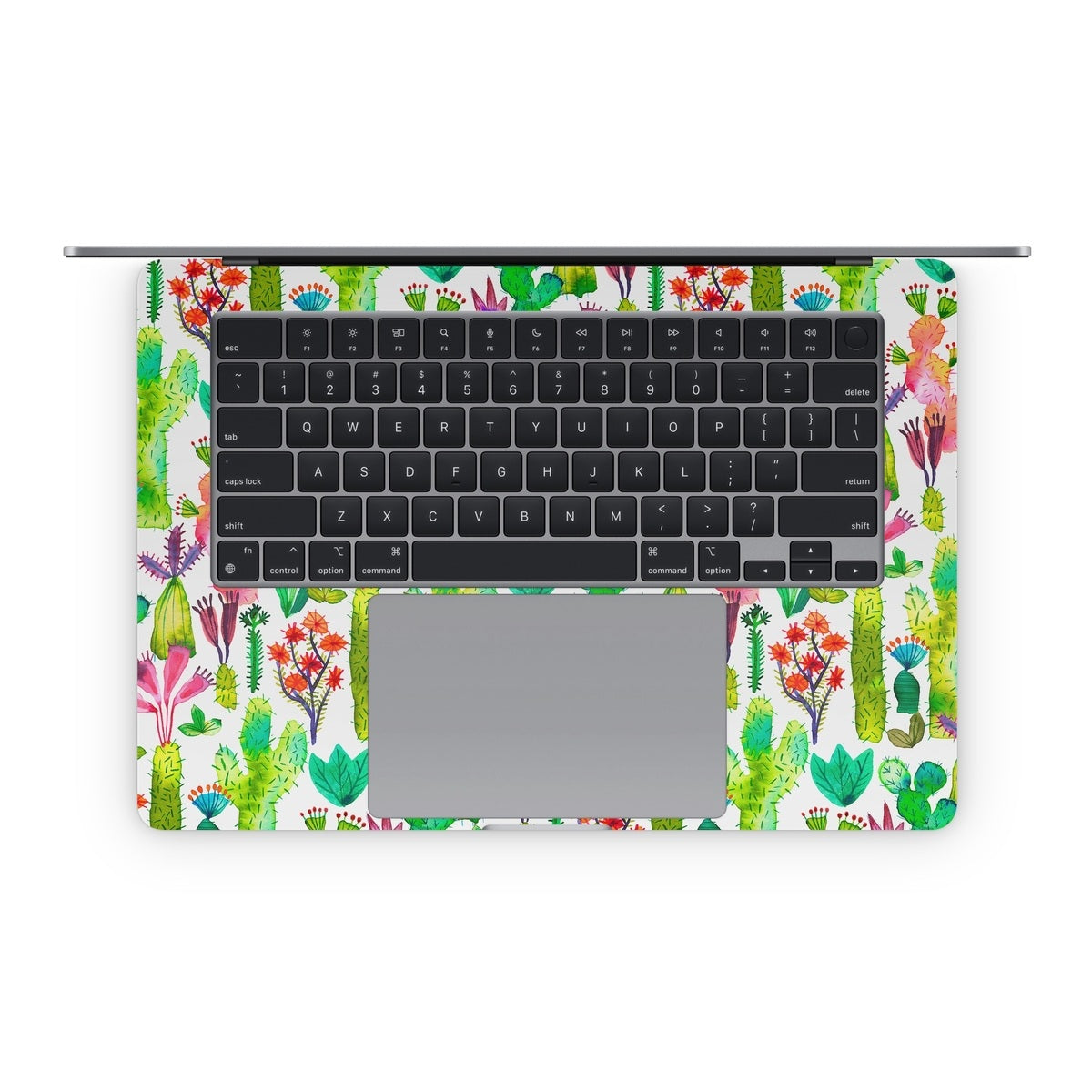 Cacti Garden - Apple MacBook Skin