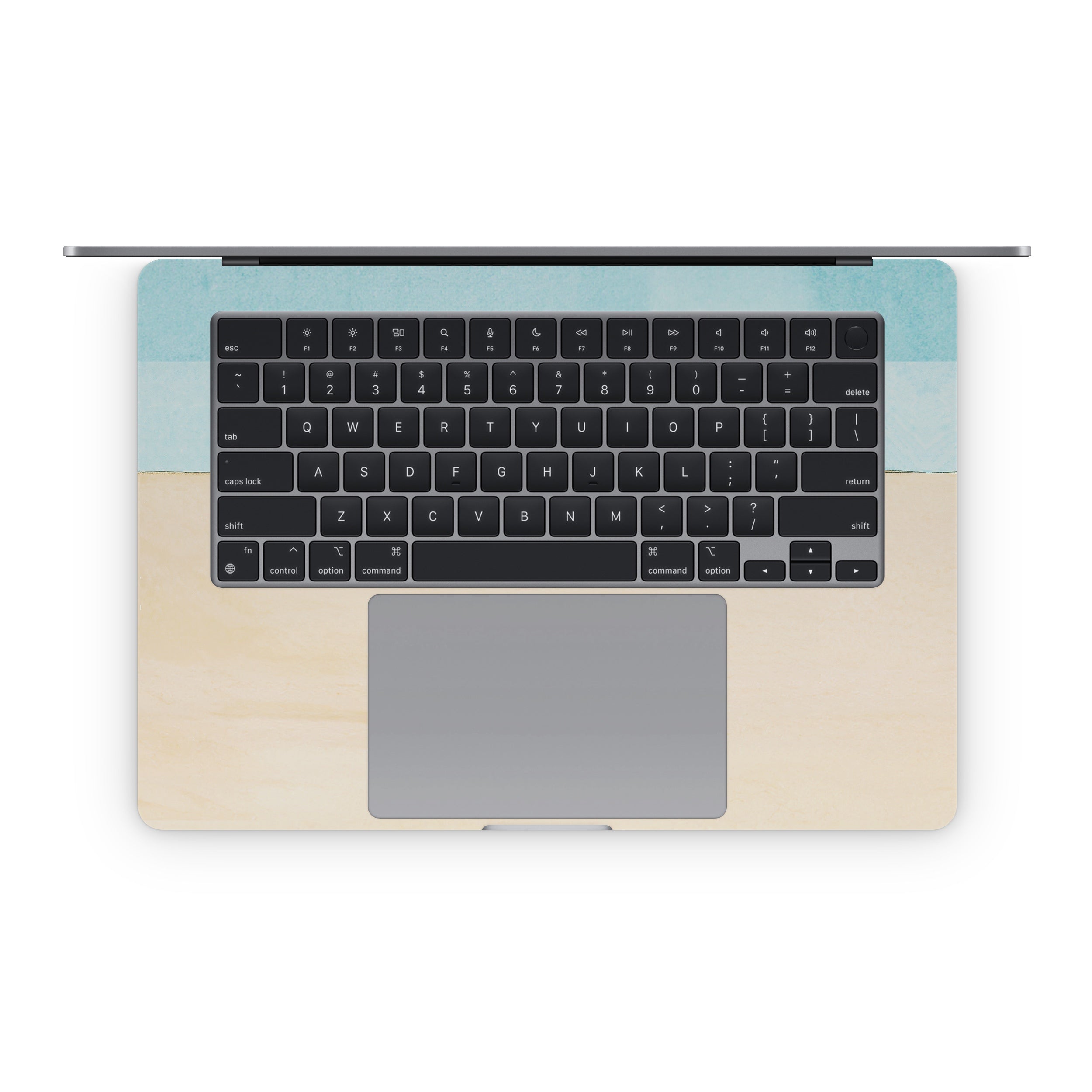 Cactus - Apple MacBook Skin