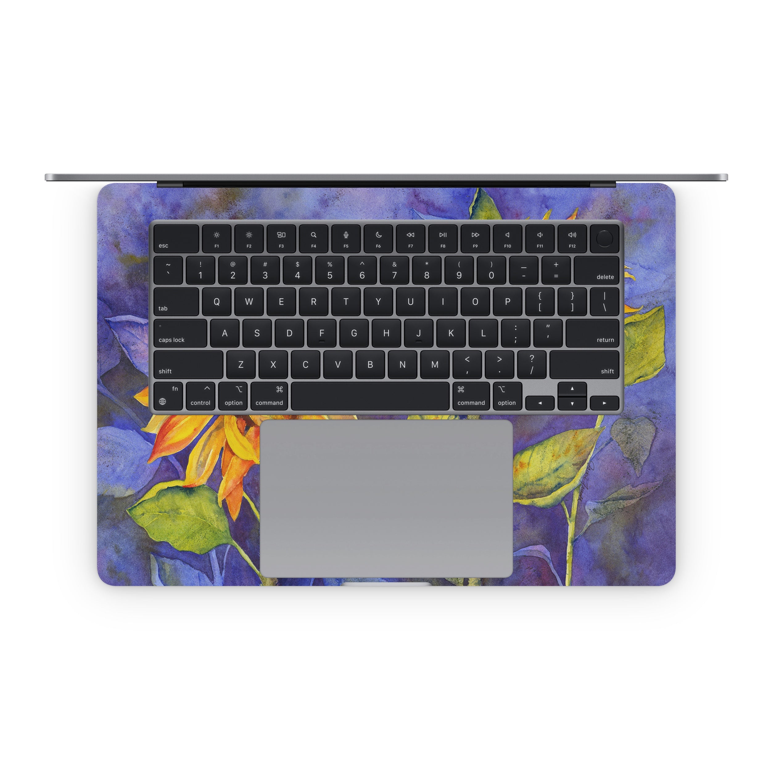 Day Dreaming - Apple MacBook Skin