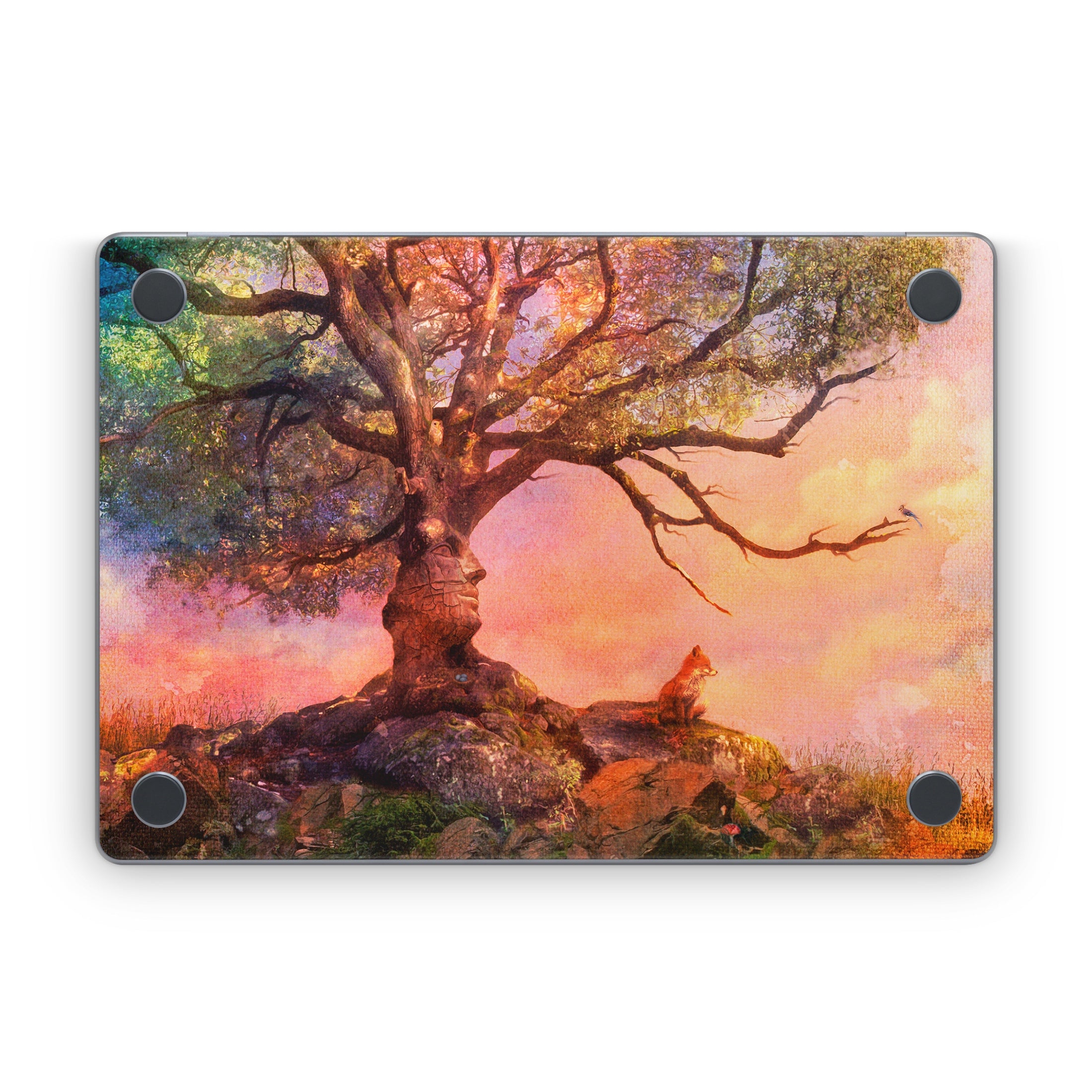 Fox Sunset - Apple MacBook Skin