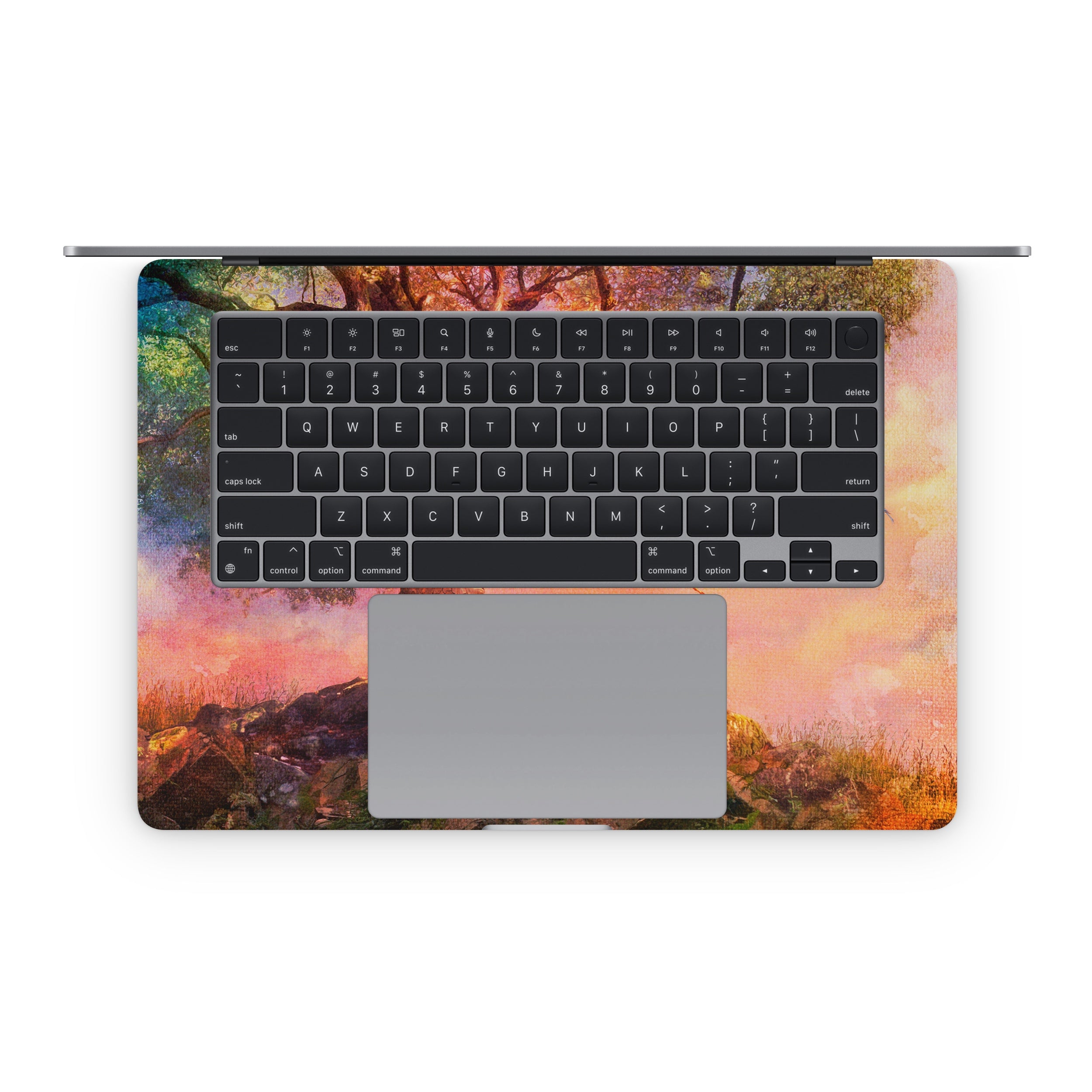 Fox Sunset - Apple MacBook Skin