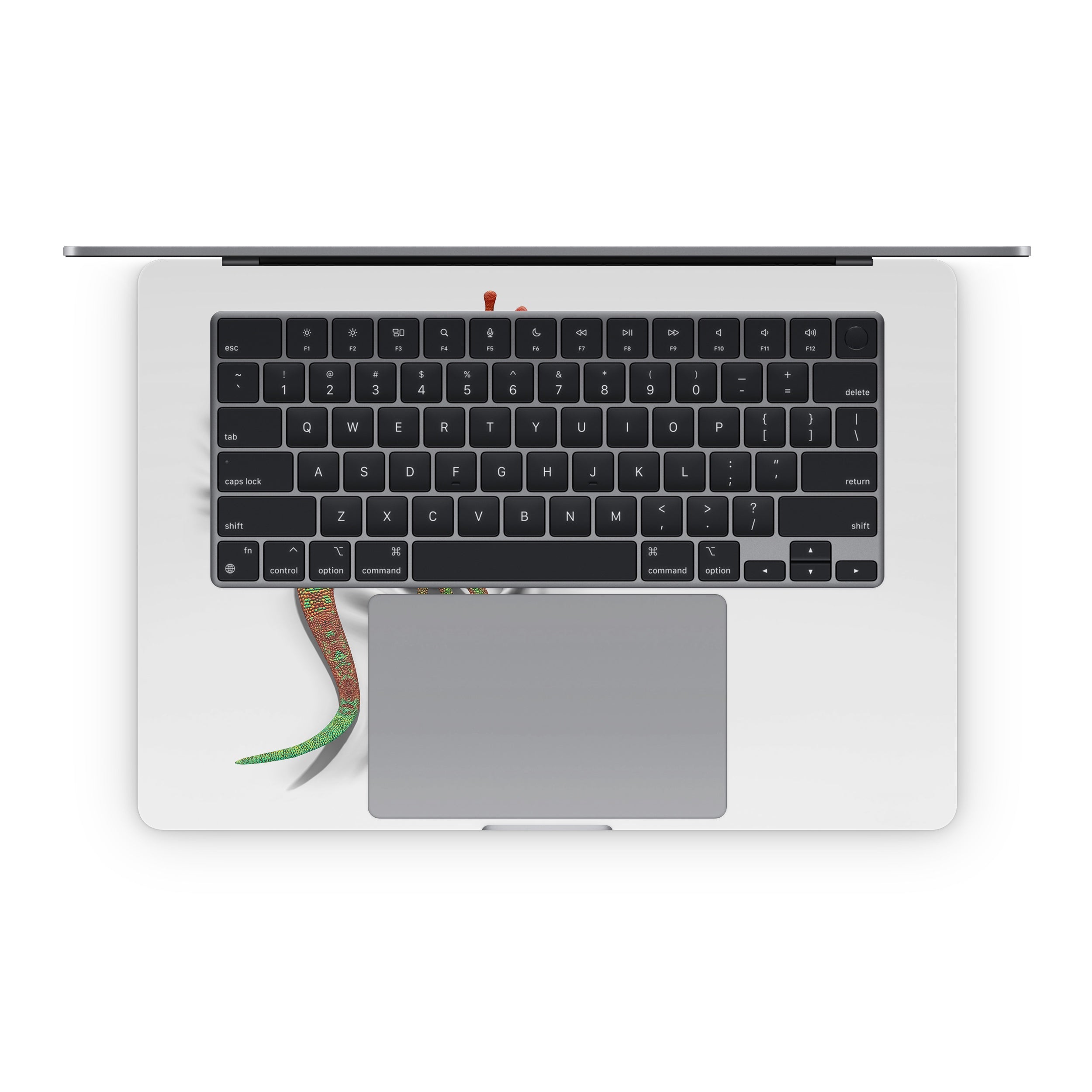 Gecko - Apple MacBook Skin