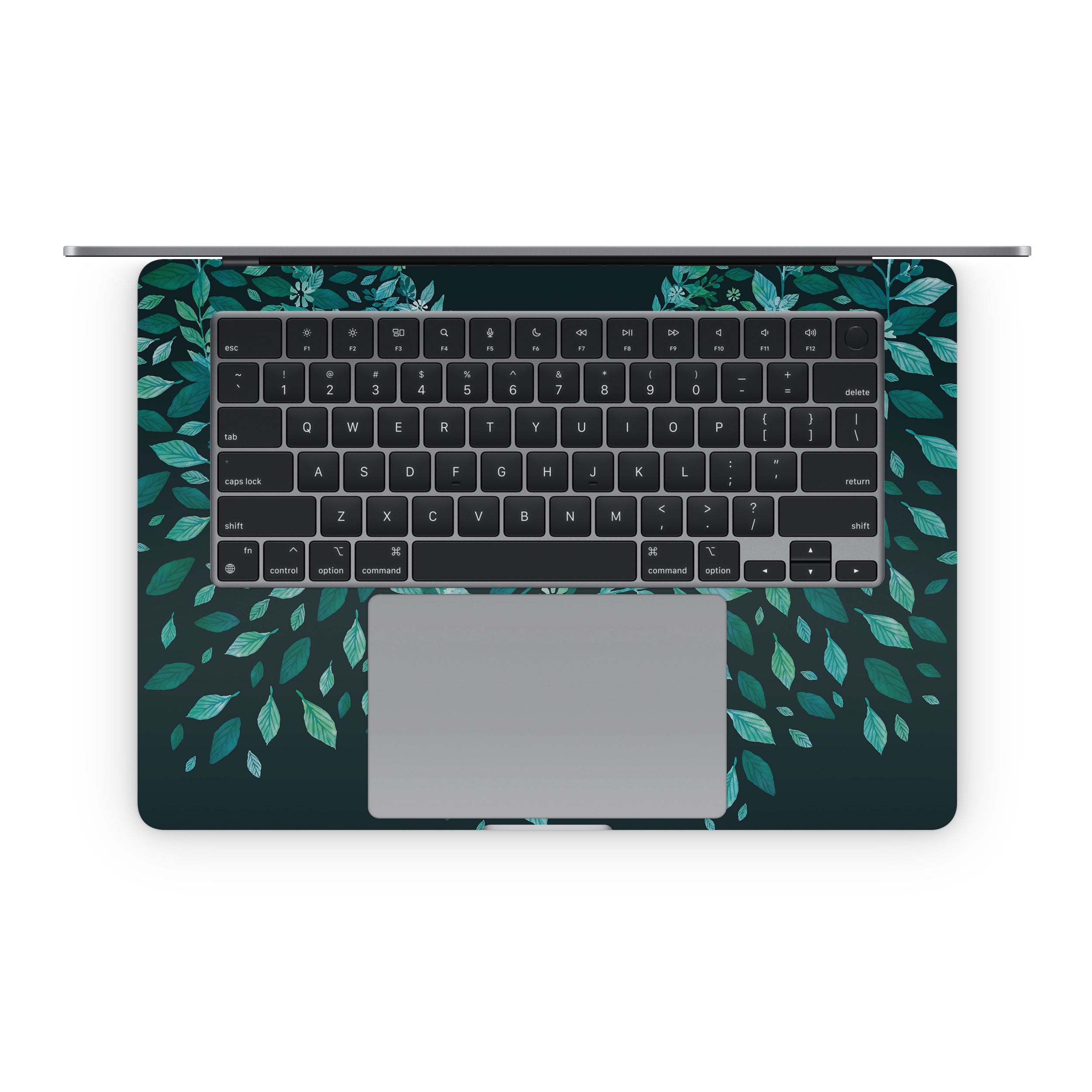 Growth - Apple MacBook Skin