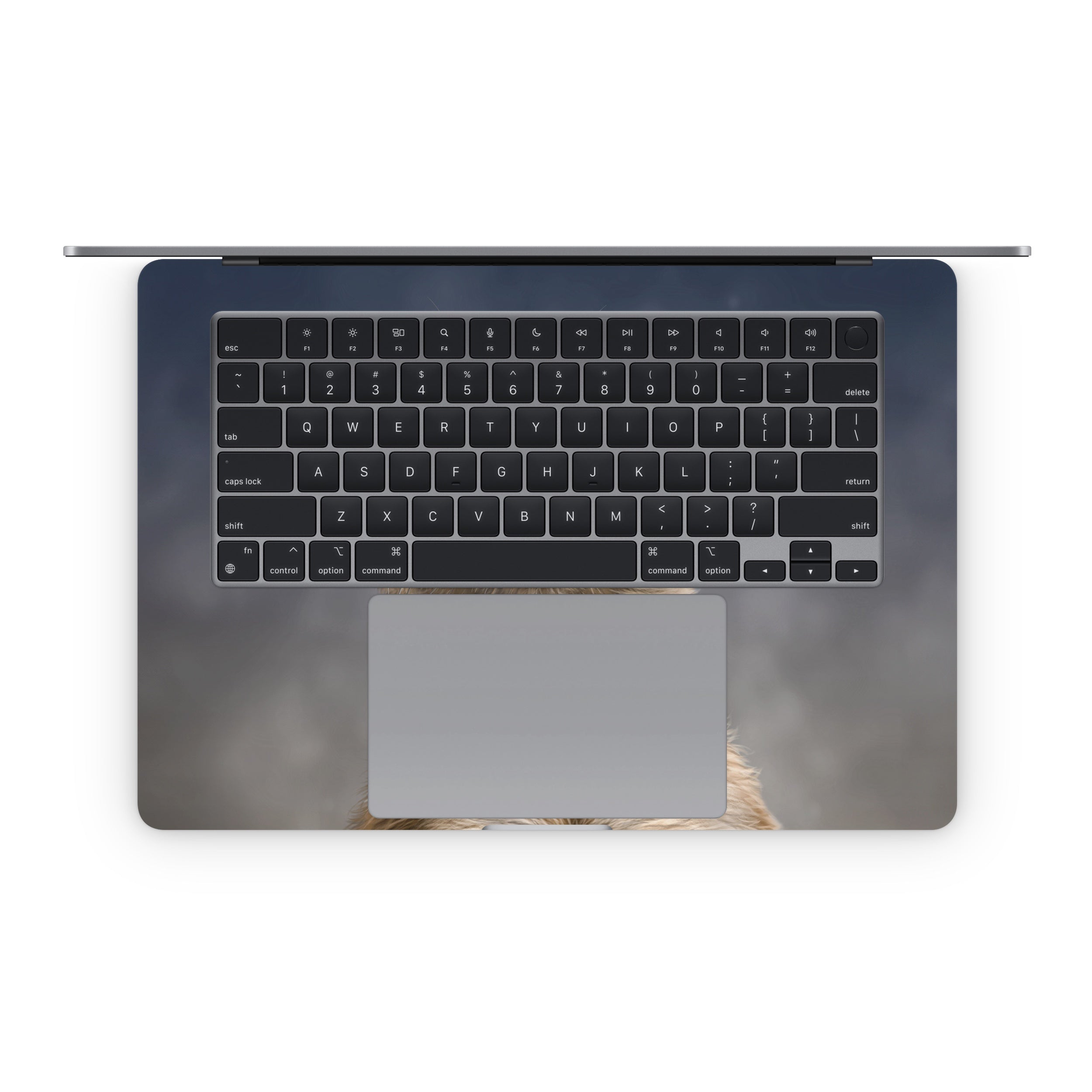 Meerkat - Apple MacBook Skin