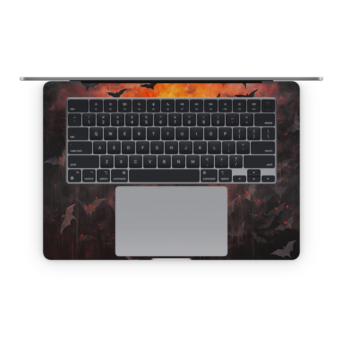 Night Fury - Apple MacBook Skin