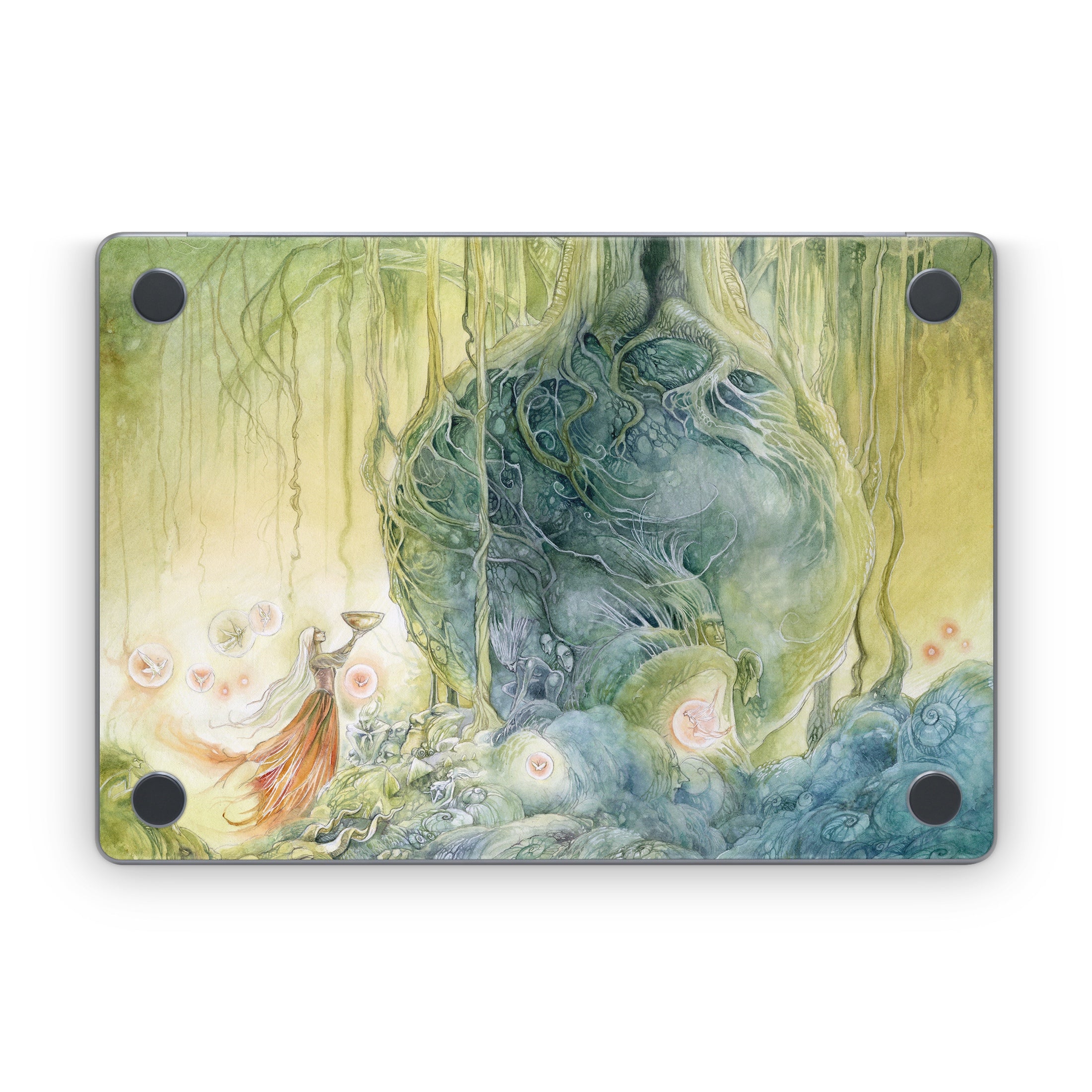 Offerings - Apple MacBook Skin