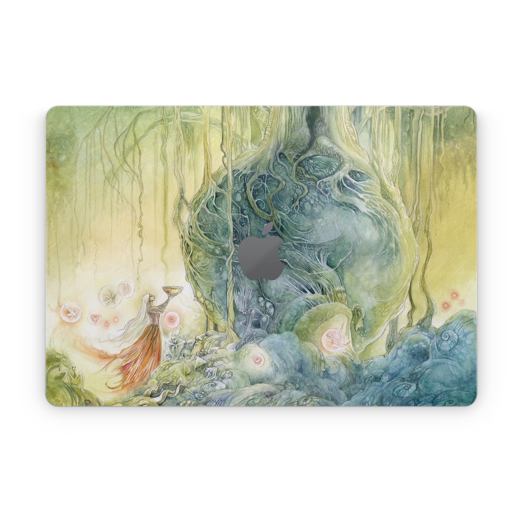 Offerings - Apple MacBook Skin