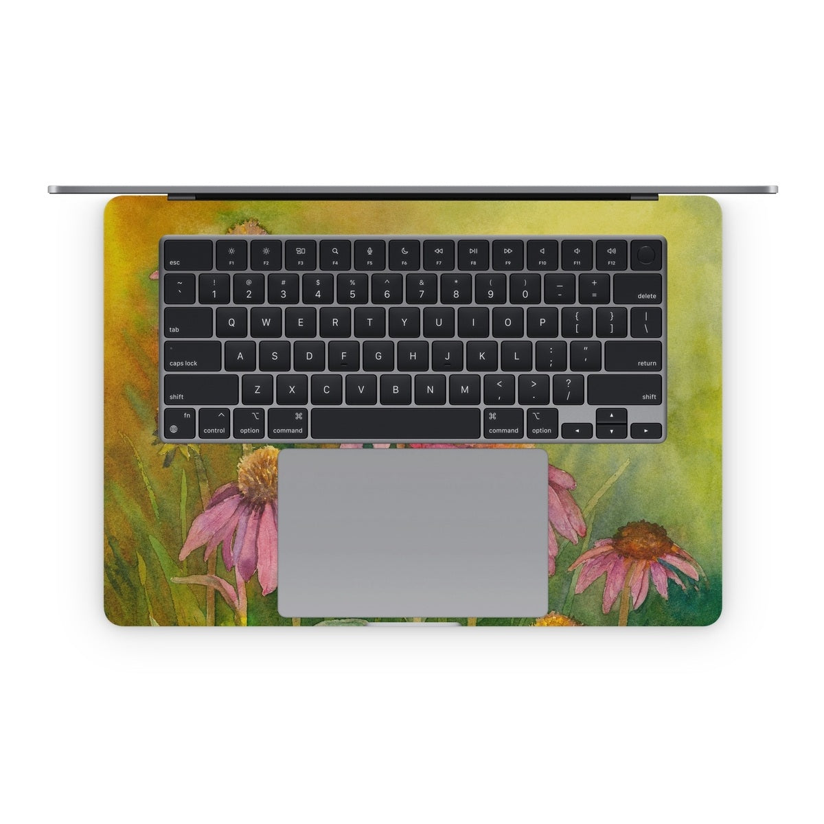 Prairie Coneflower - Apple MacBook Skin