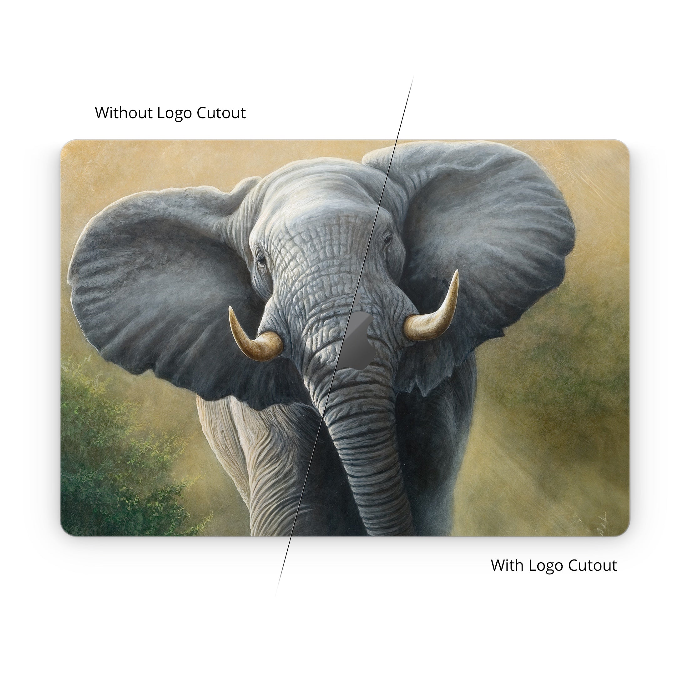 Right of Way - Apple MacBook Skin