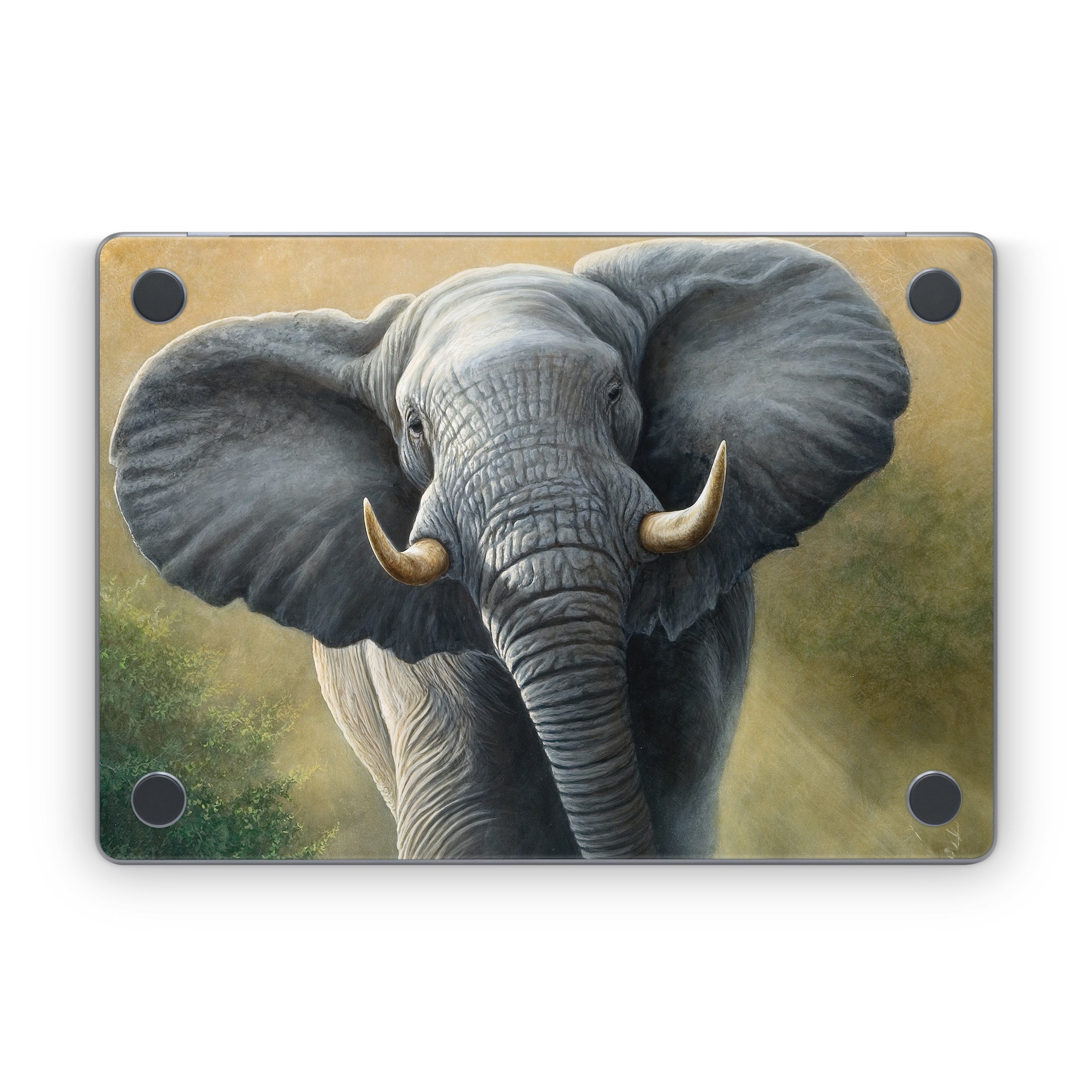 Right of Way - Apple MacBook Skin