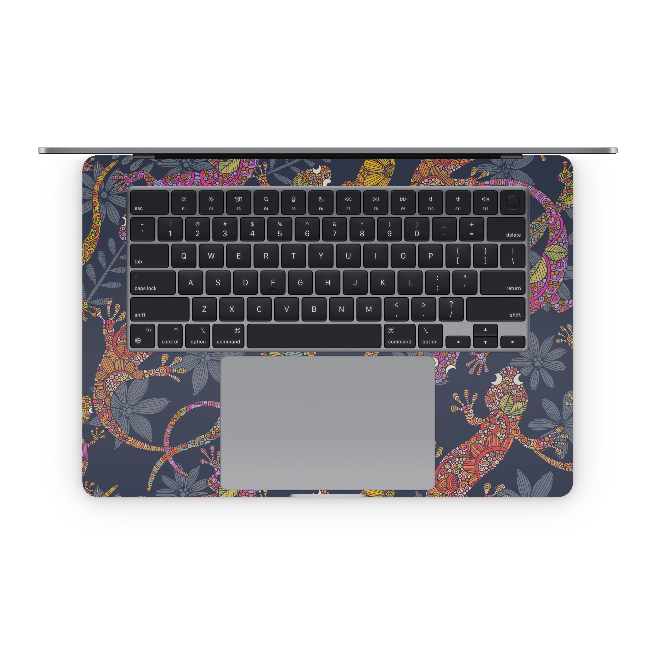 Salamanca - Apple MacBook Skin