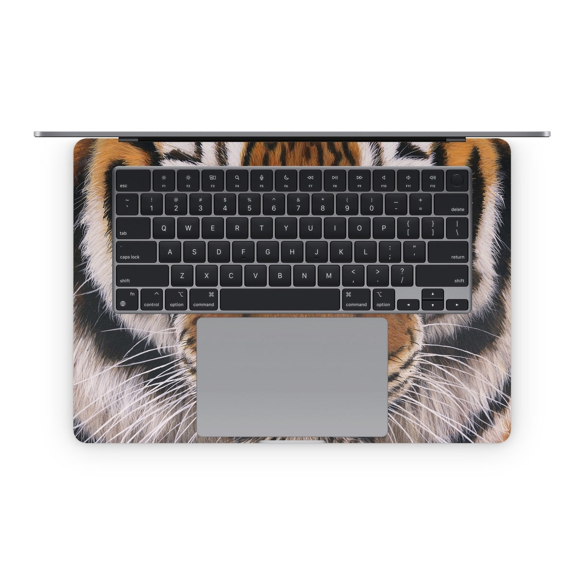 Siberian Tiger - Apple MacBook Skin