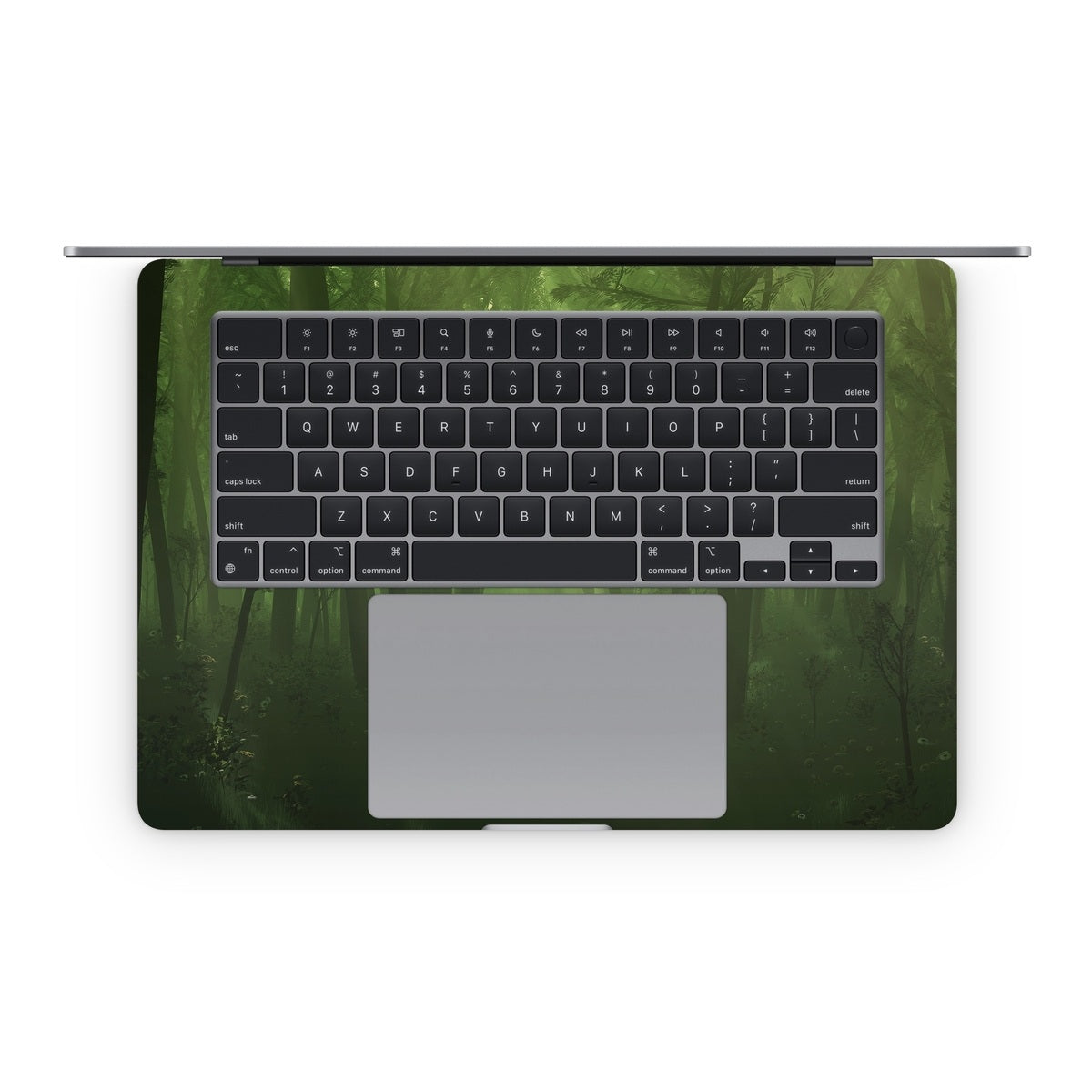 Spring Wood - Apple MacBook Skin