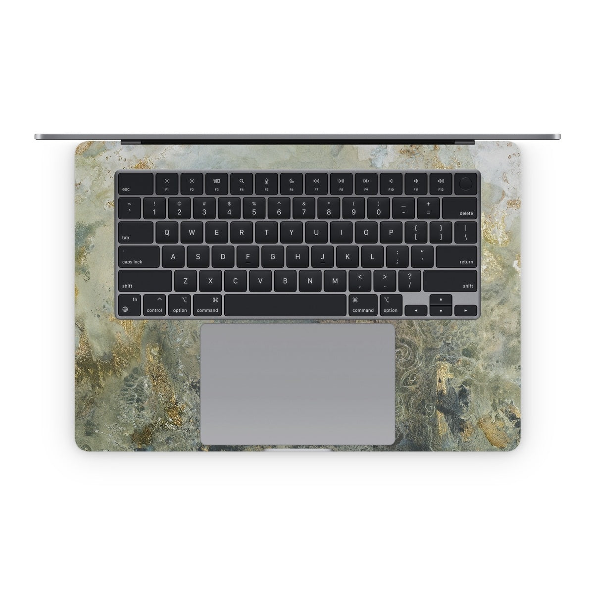 The Raven - Apple MacBook Skin