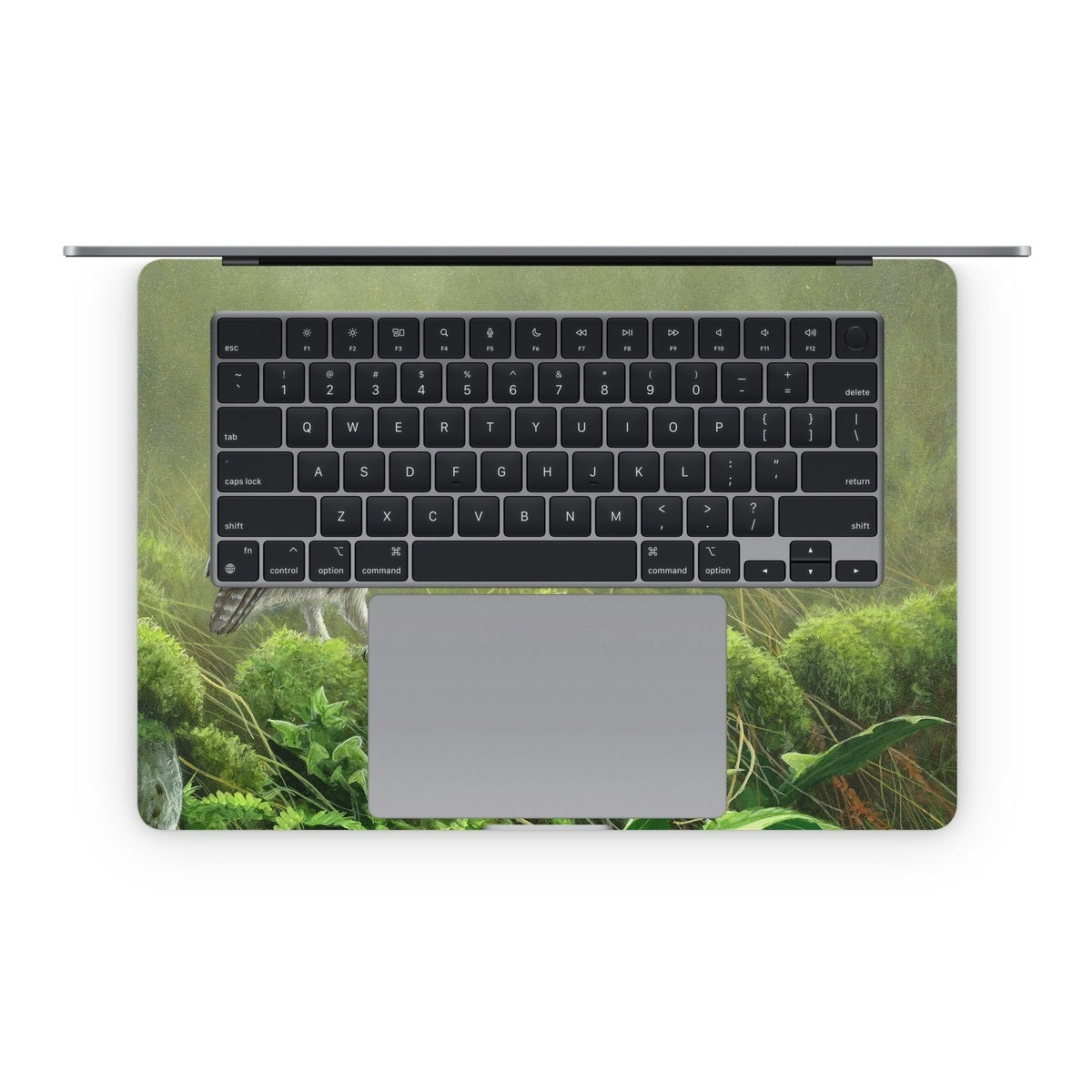 Tumbledown - Apple MacBook Skin