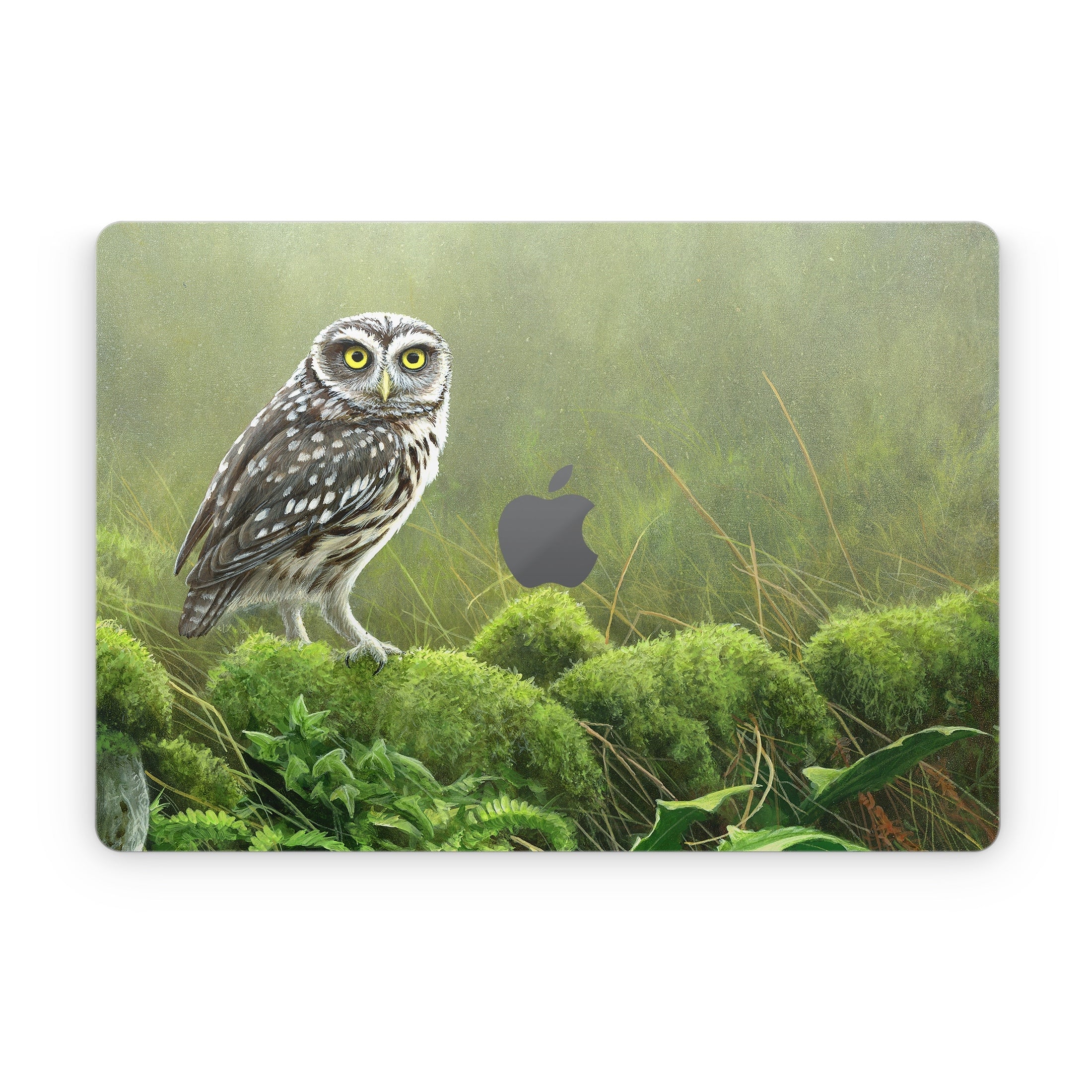 Tumbledown - Apple MacBook Skin
