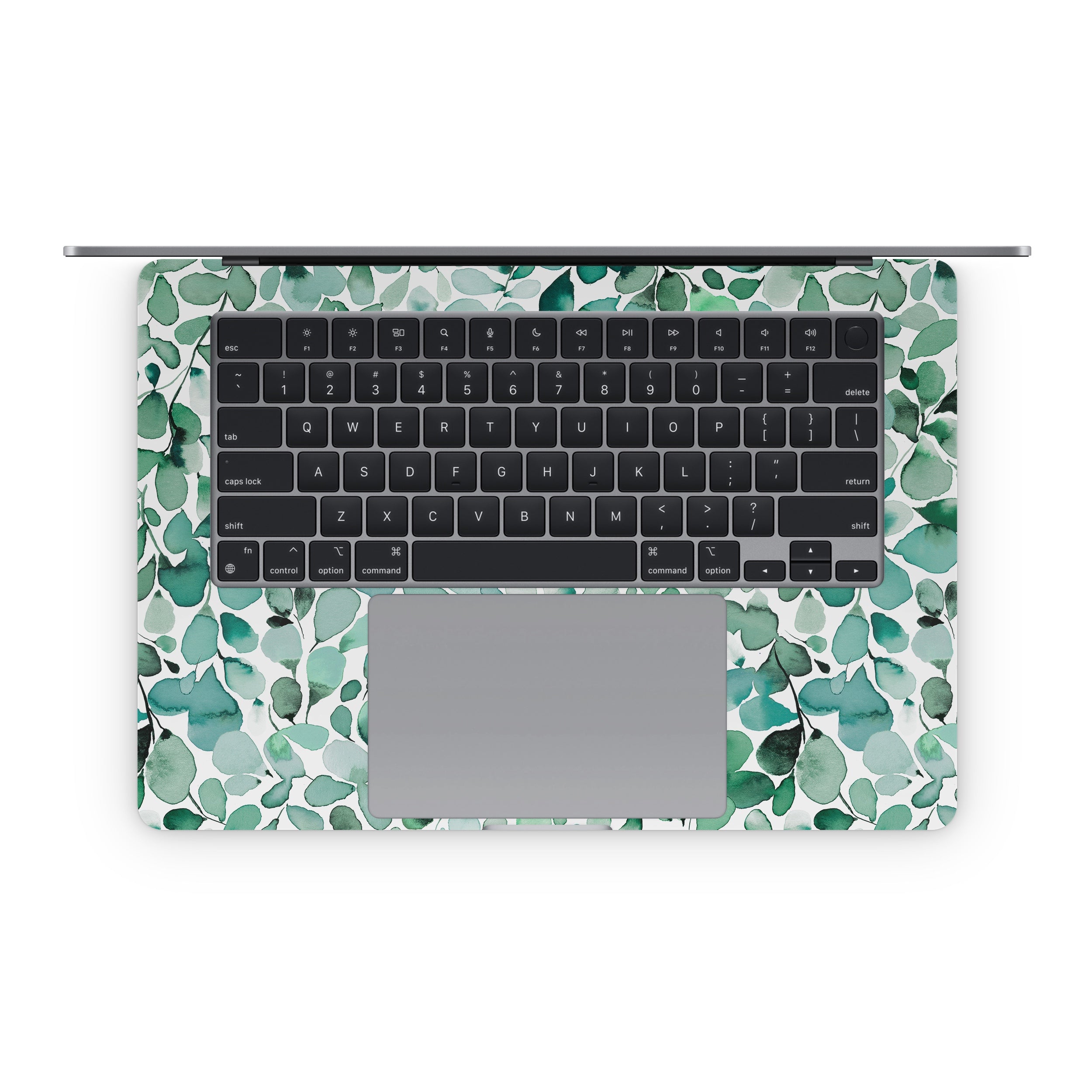Watercolor Eucalyptus Leaves - Apple MacBook Skin