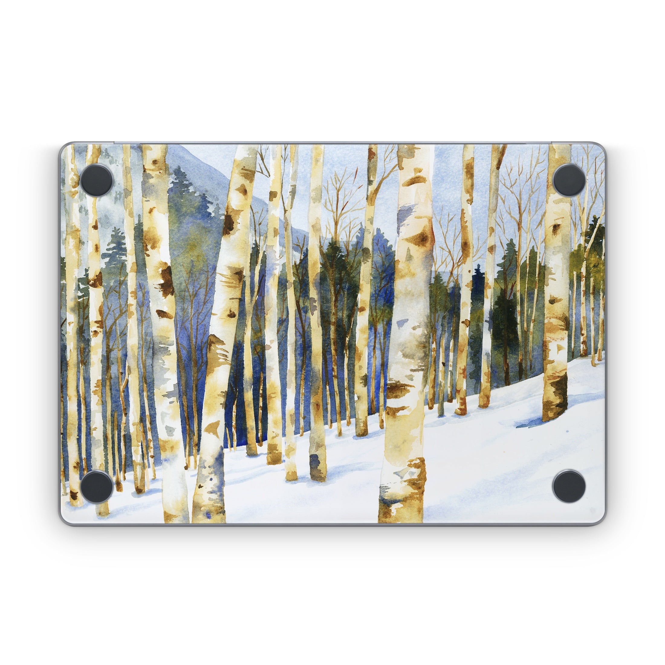 Winter Solstice - Apple MacBook Skin