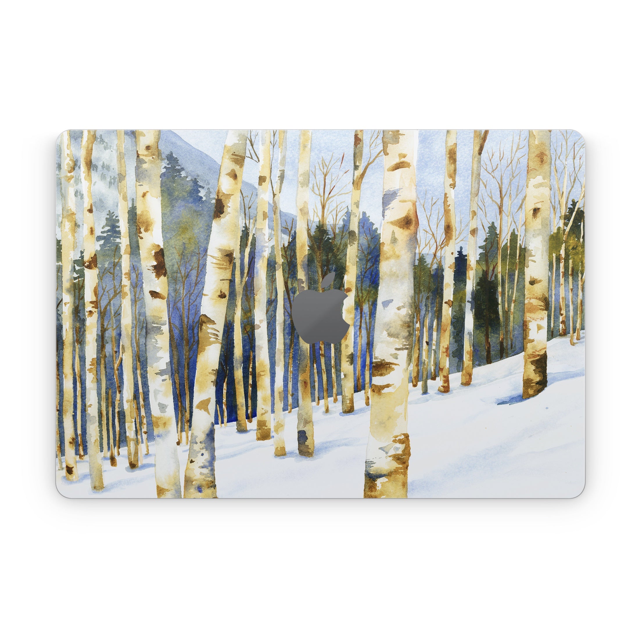 Winter Solstice - Apple MacBook Skin