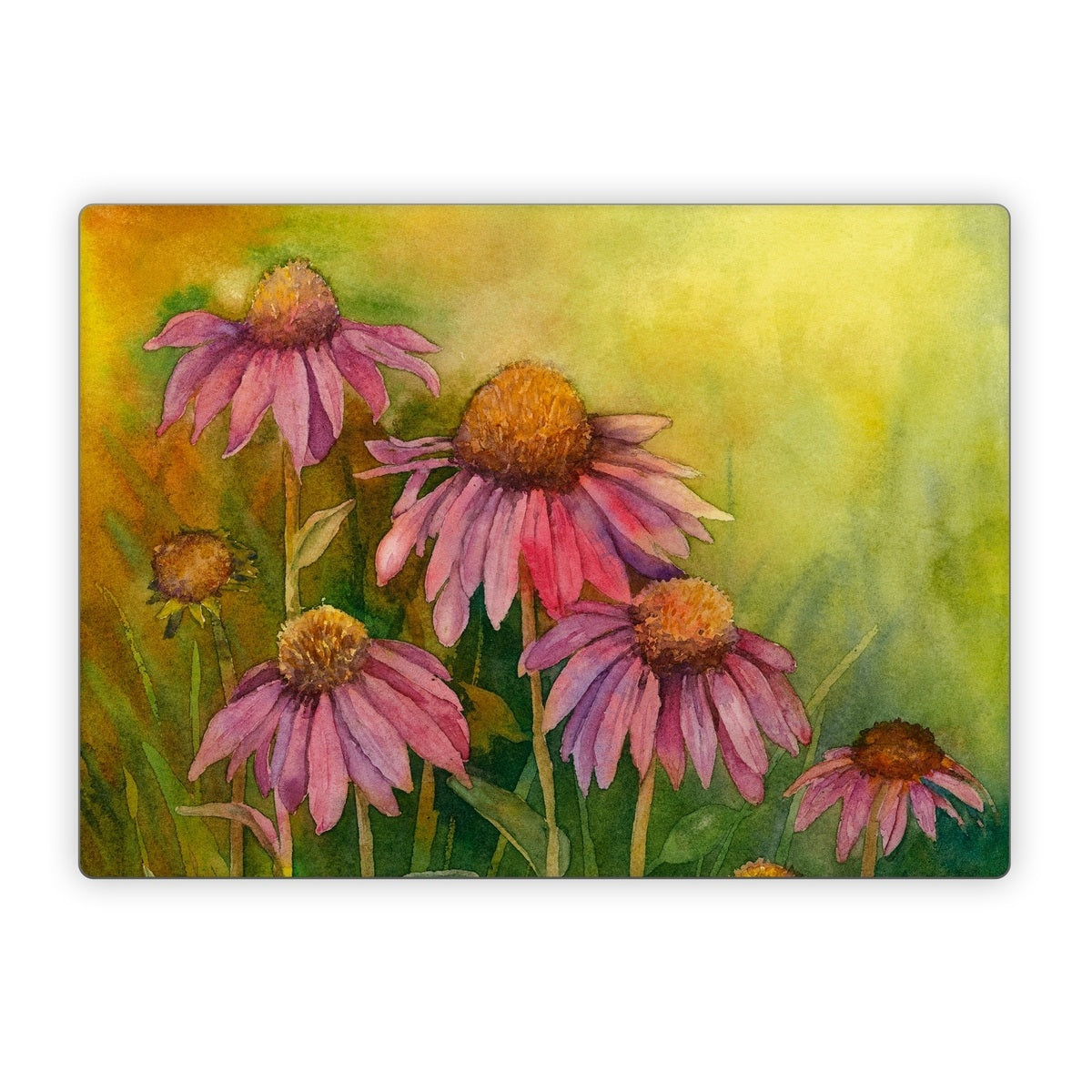 Prairie Coneflower - Microsoft Surface Laptop Skin