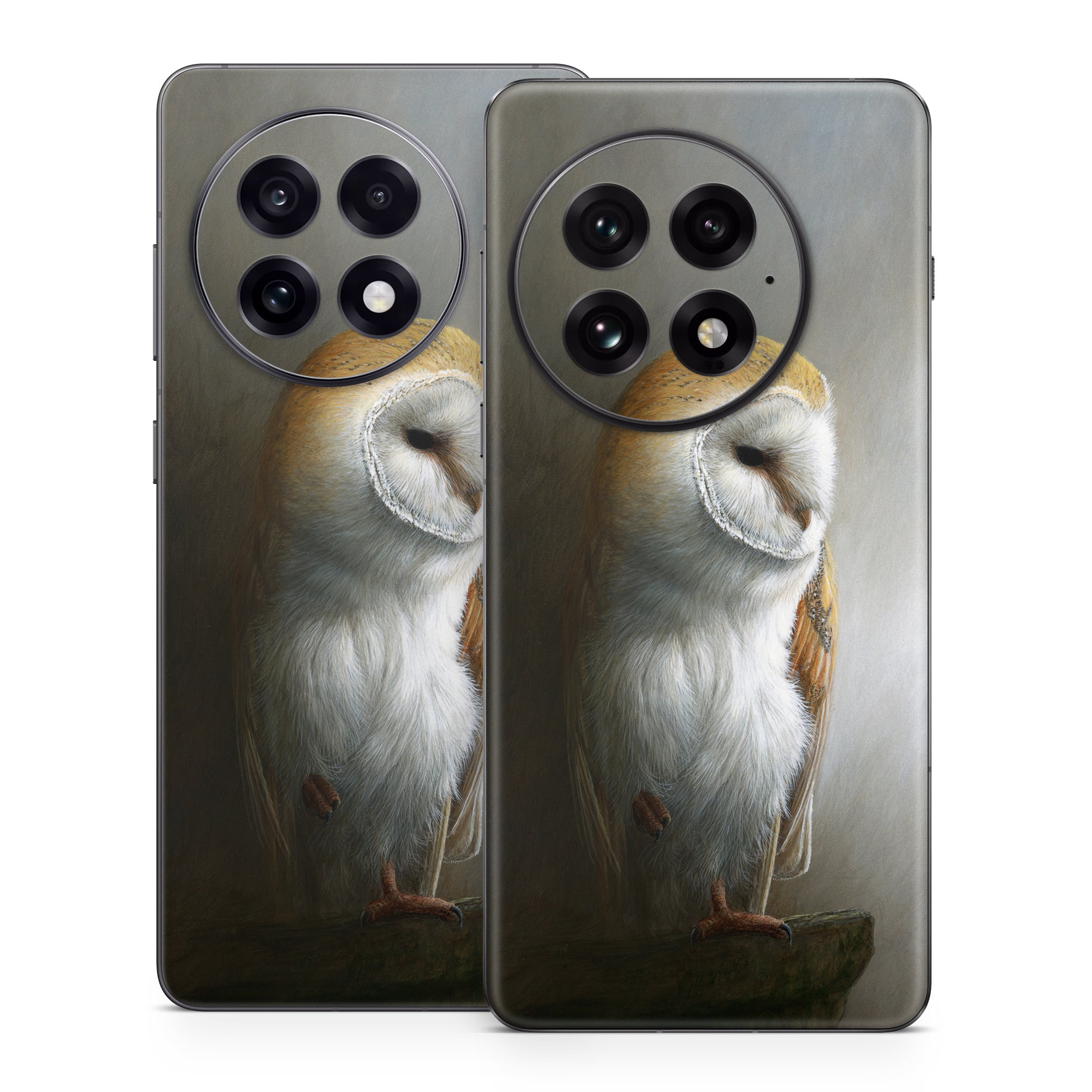 Barn Owl - OnePlus 13 Skin