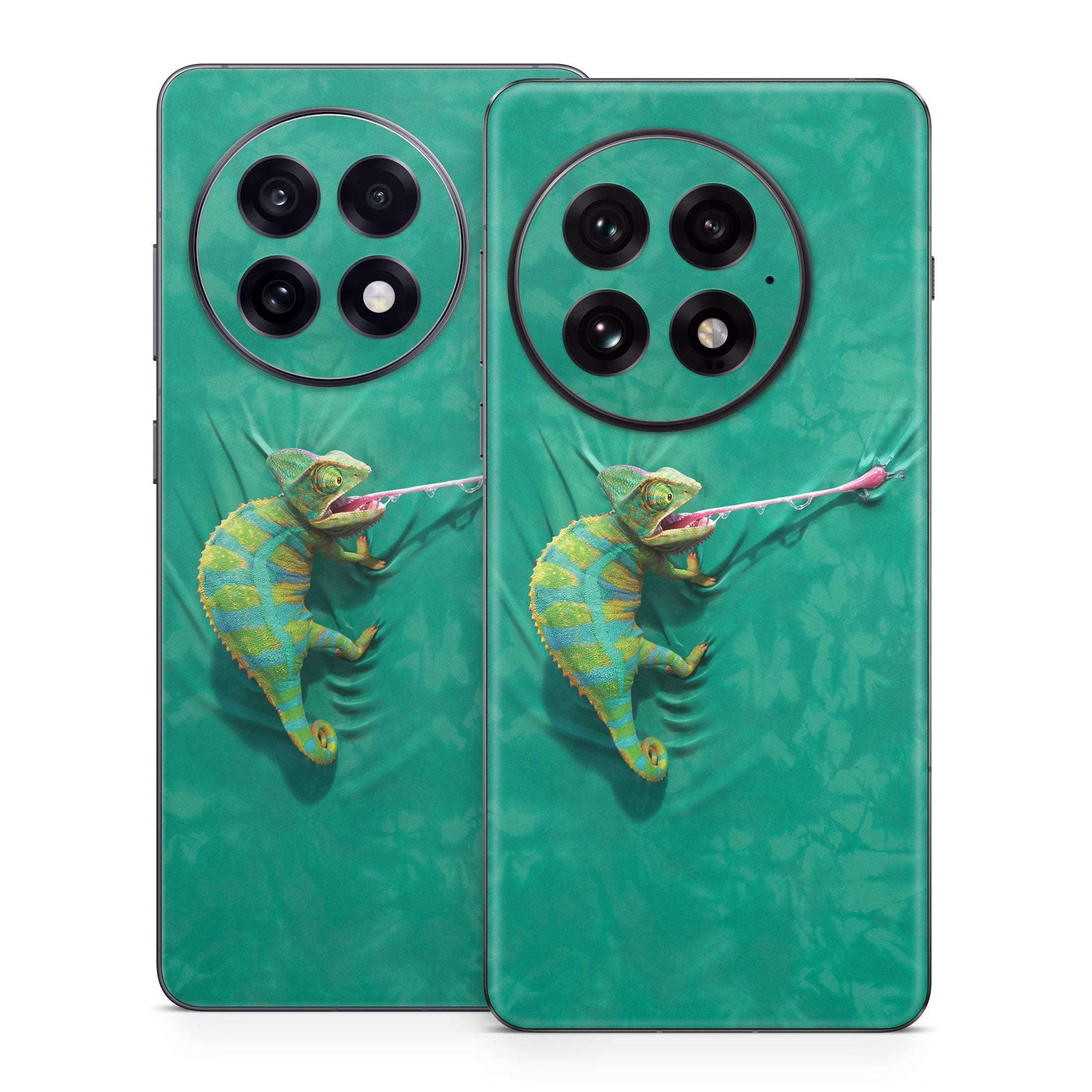 Iguana - OnePlus 13 Skin