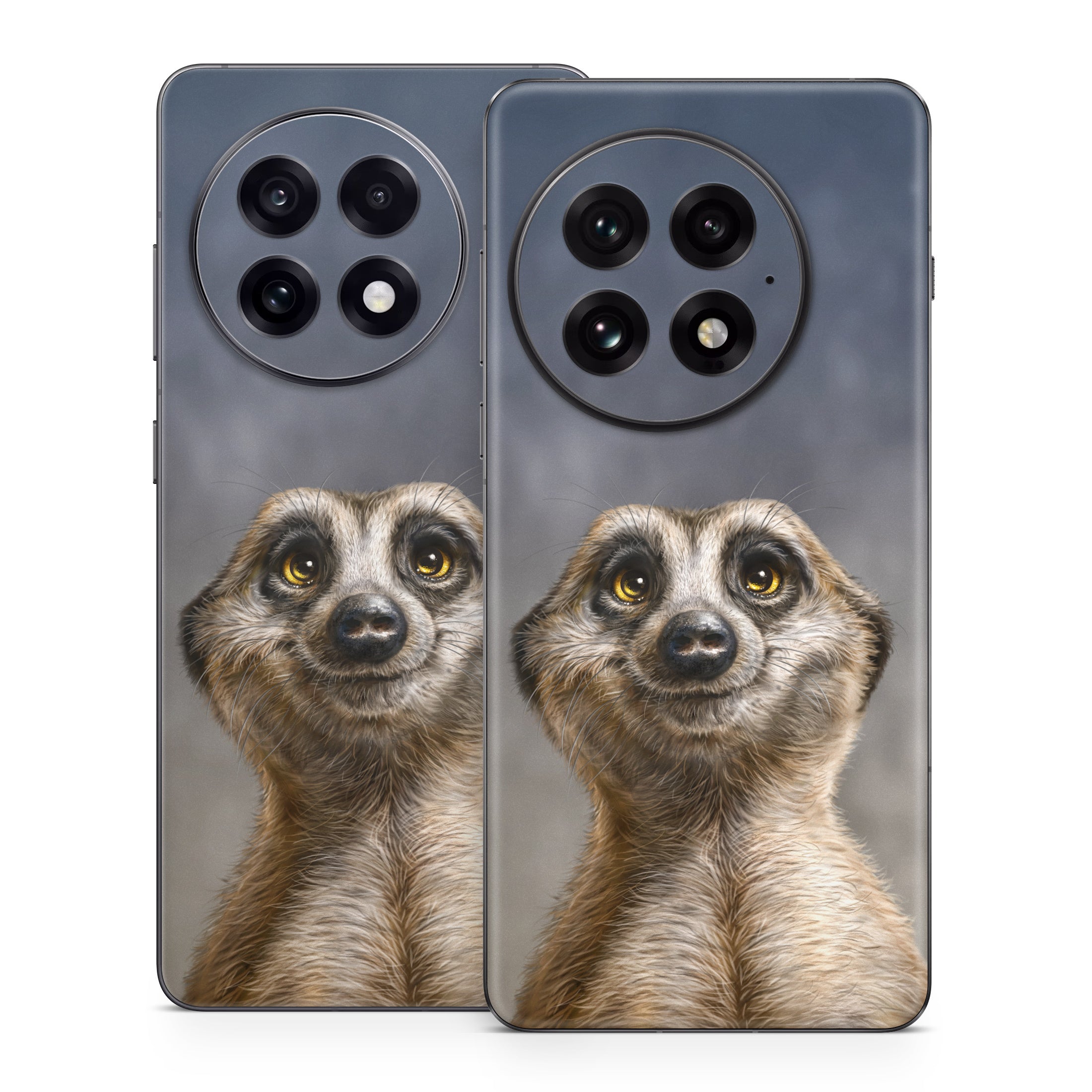 Meerkat - OnePlus 13 Skin